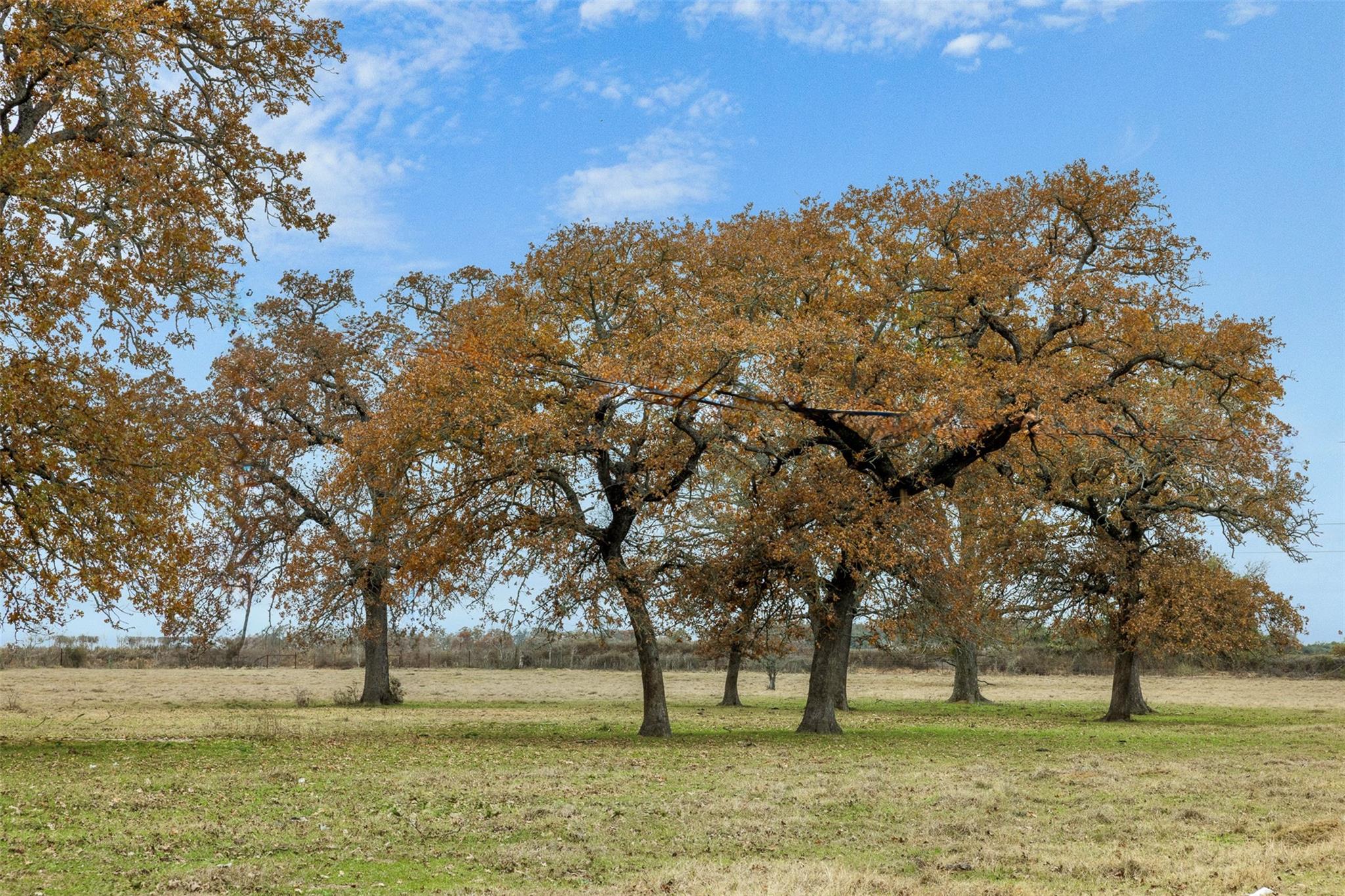 2150 CR 412, Lexington, TX 78947