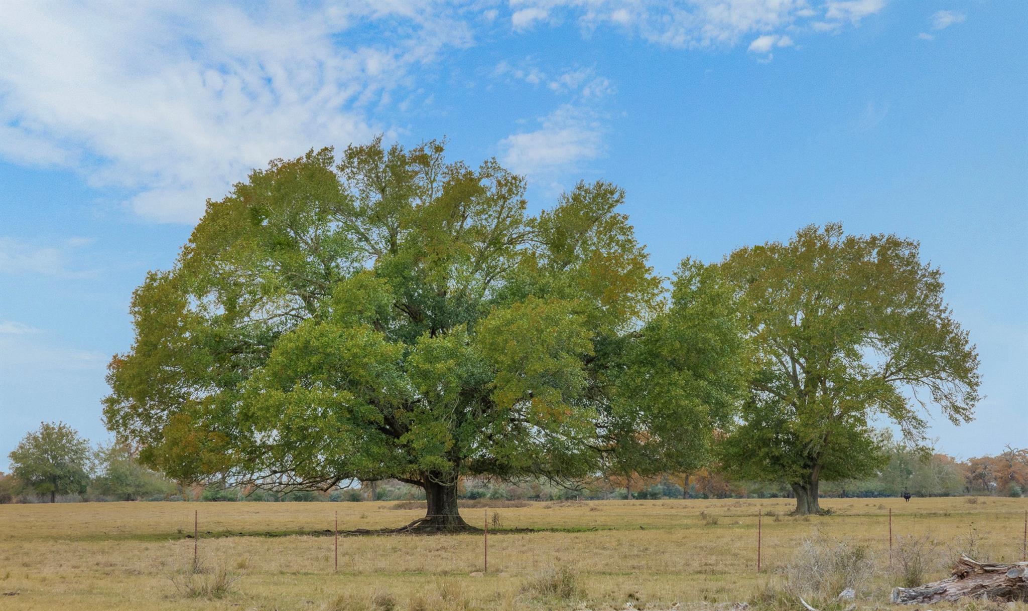 2150 CR 412, Lexington, TX 78947