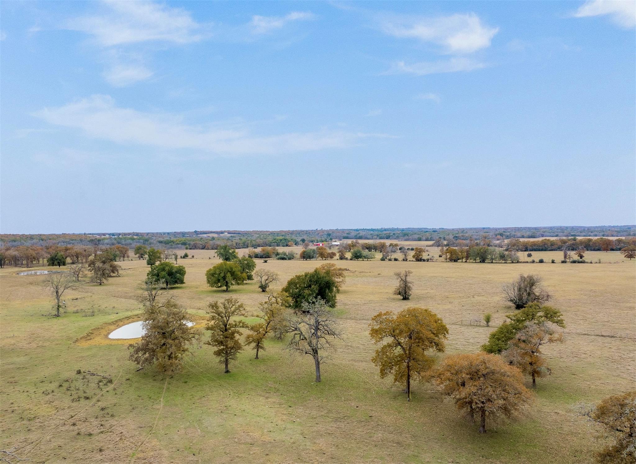 2150 CR 412, Lexington, TX 78947