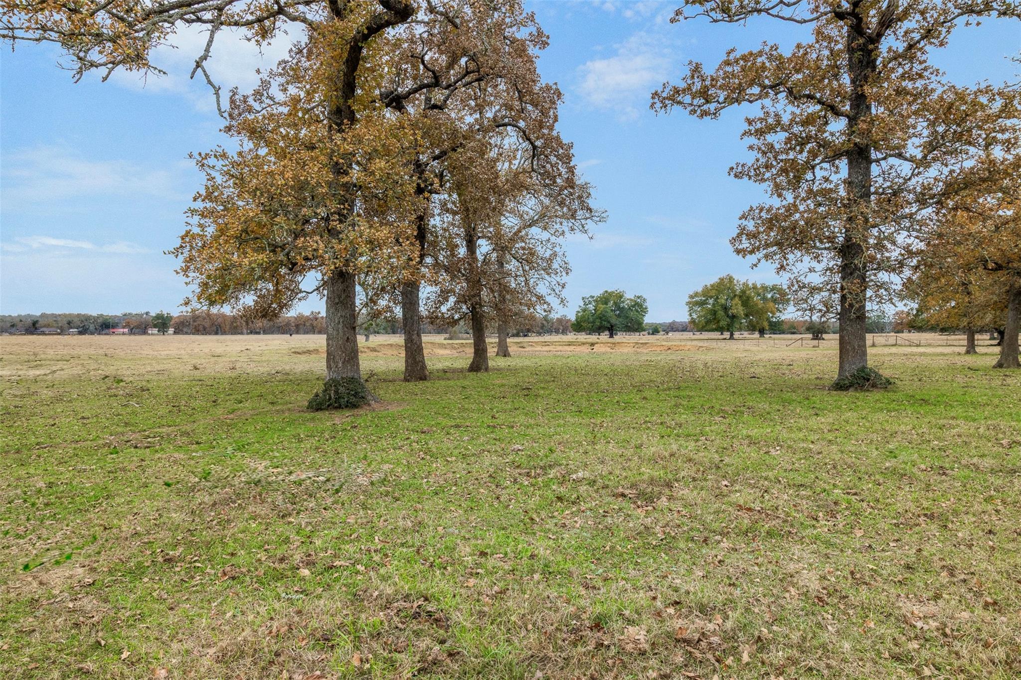 2150 CR 412, Lexington, TX 78947