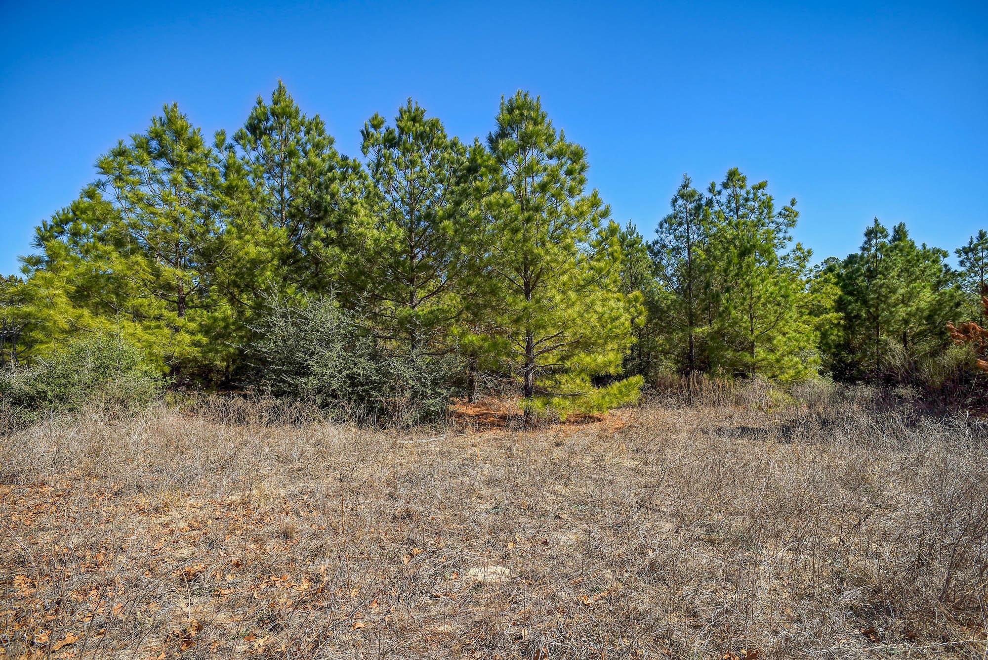 129 Country Air Dr, Bastrop, TX 78602