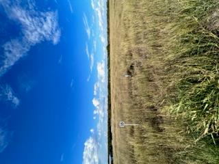 TBD County Road 240 Dr, Gonzales, TX 78629