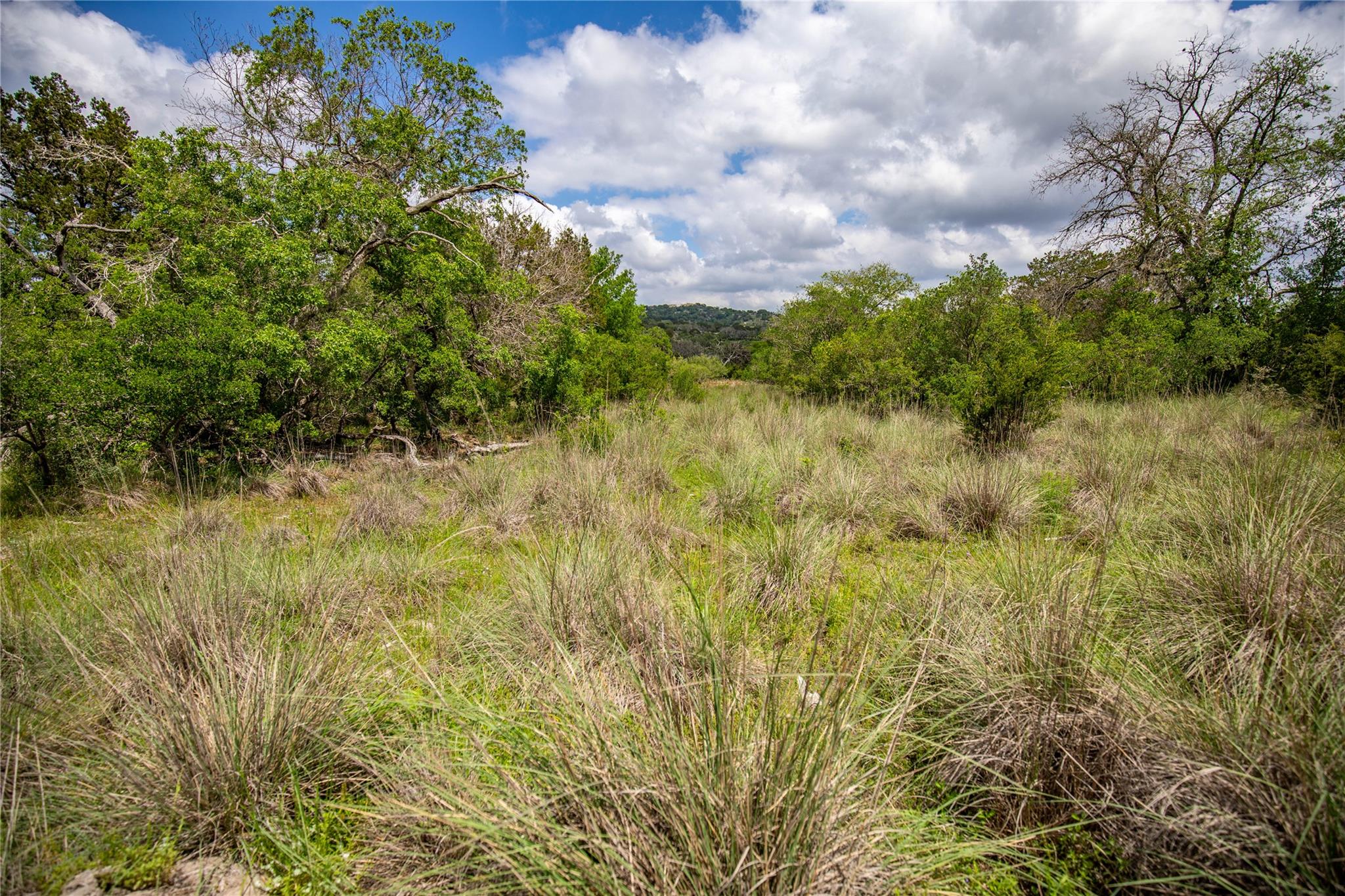 275 Hasenwinkel Rd Lot 3, Comfort, TX 78013