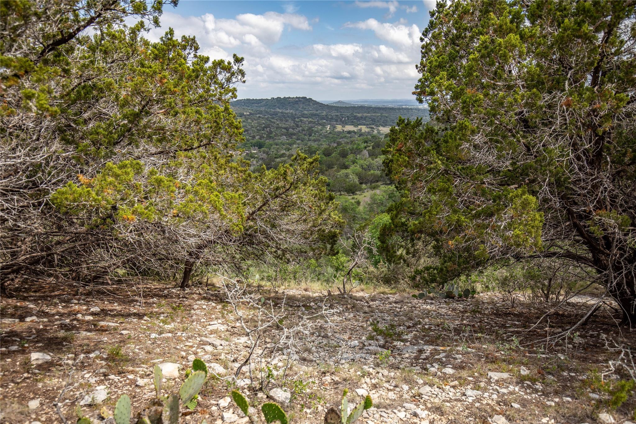 275 Hasenwinkel Rd Lot 3, Comfort, TX 78013