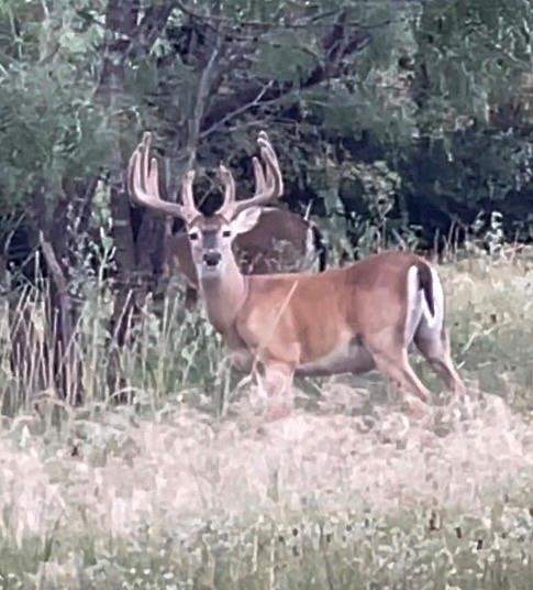 275 Hasenwinkel Rd Lot 3, Comfort, TX 78013