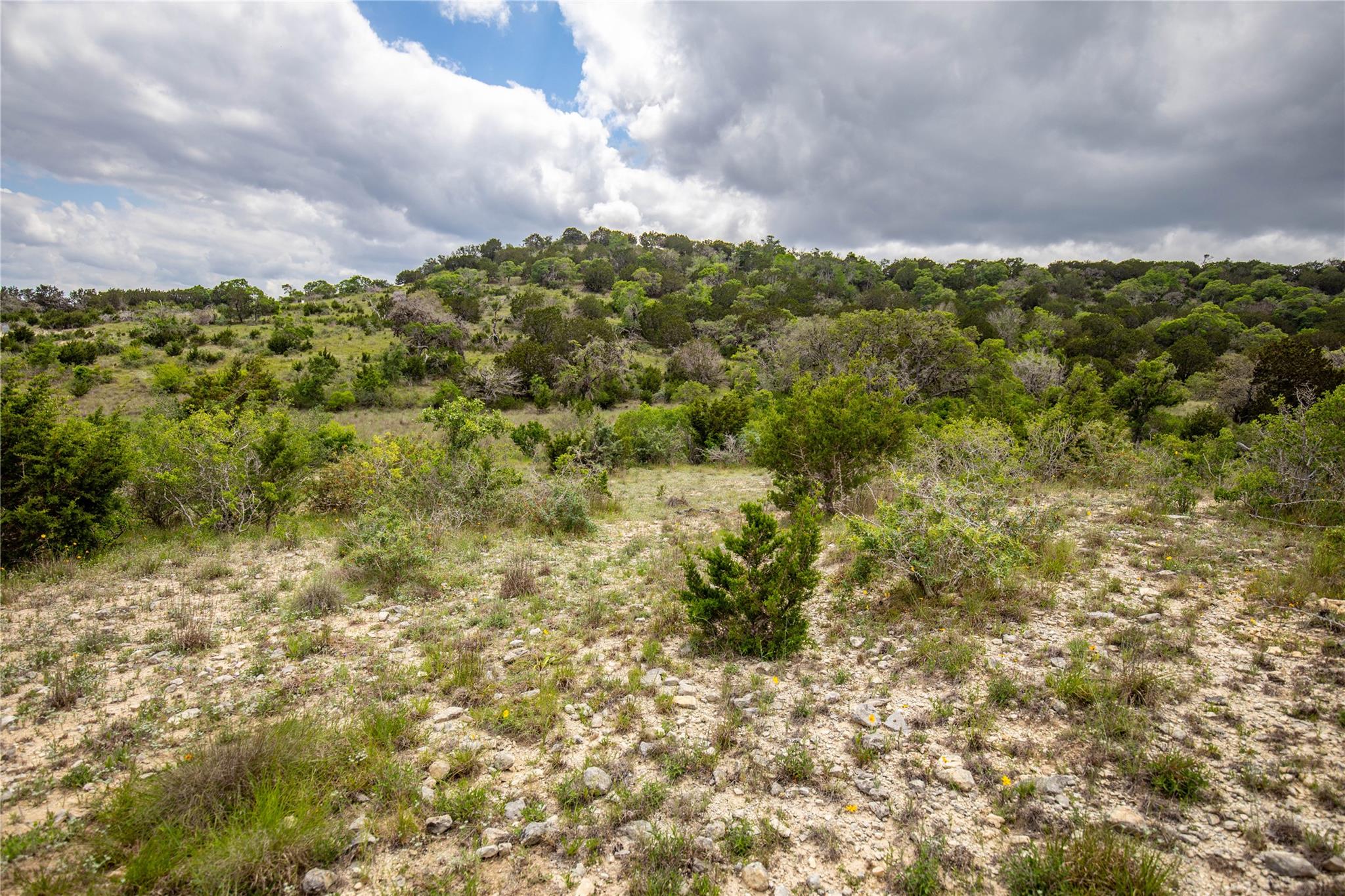 275 Hasenwinkel Rd Lot 3, Comfort, TX 78013