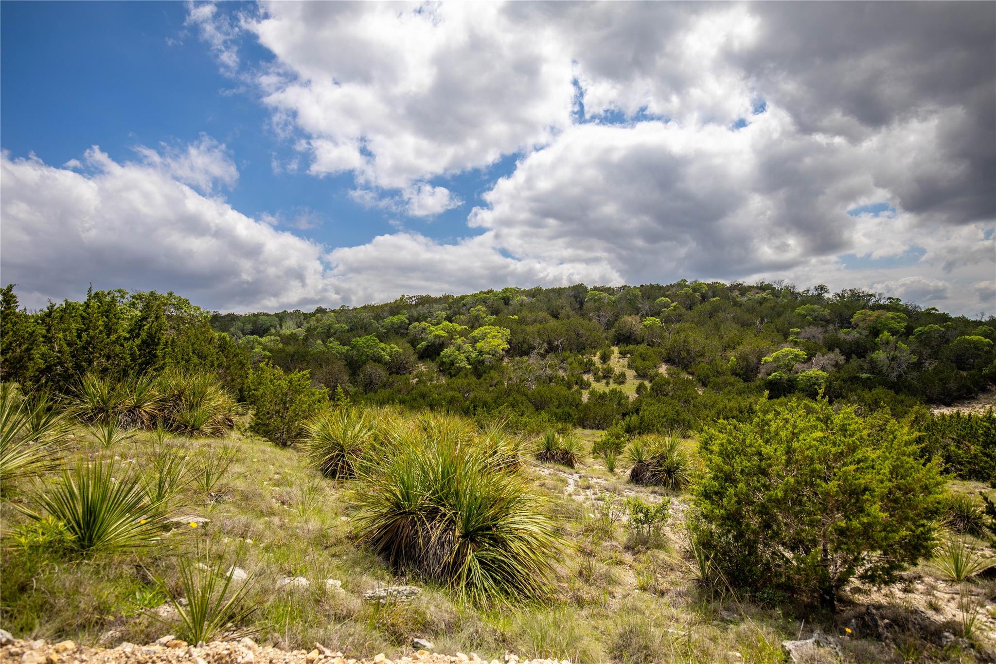 275 Hasenwinkel Rd Lot 3, Comfort, TX 78013