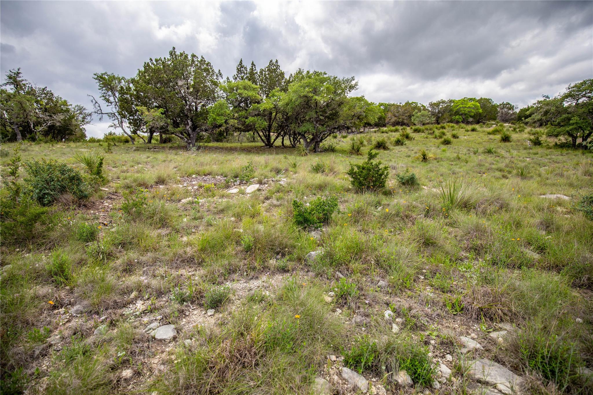 275 Hasenwinkel Rd Lot 3, Comfort, TX 78013