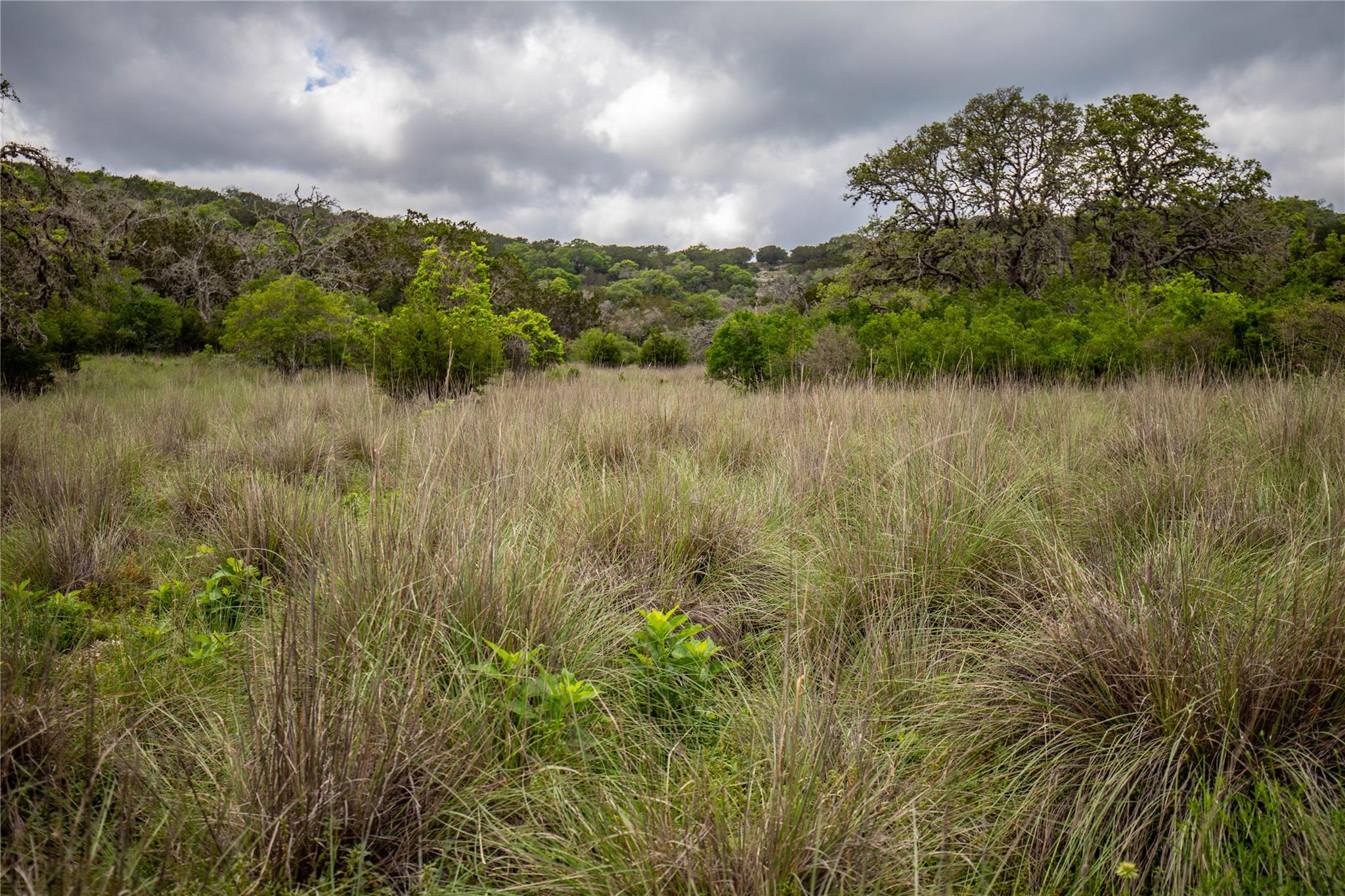 275 Hasenwinkel Rd Lot 3, Comfort, TX 78013