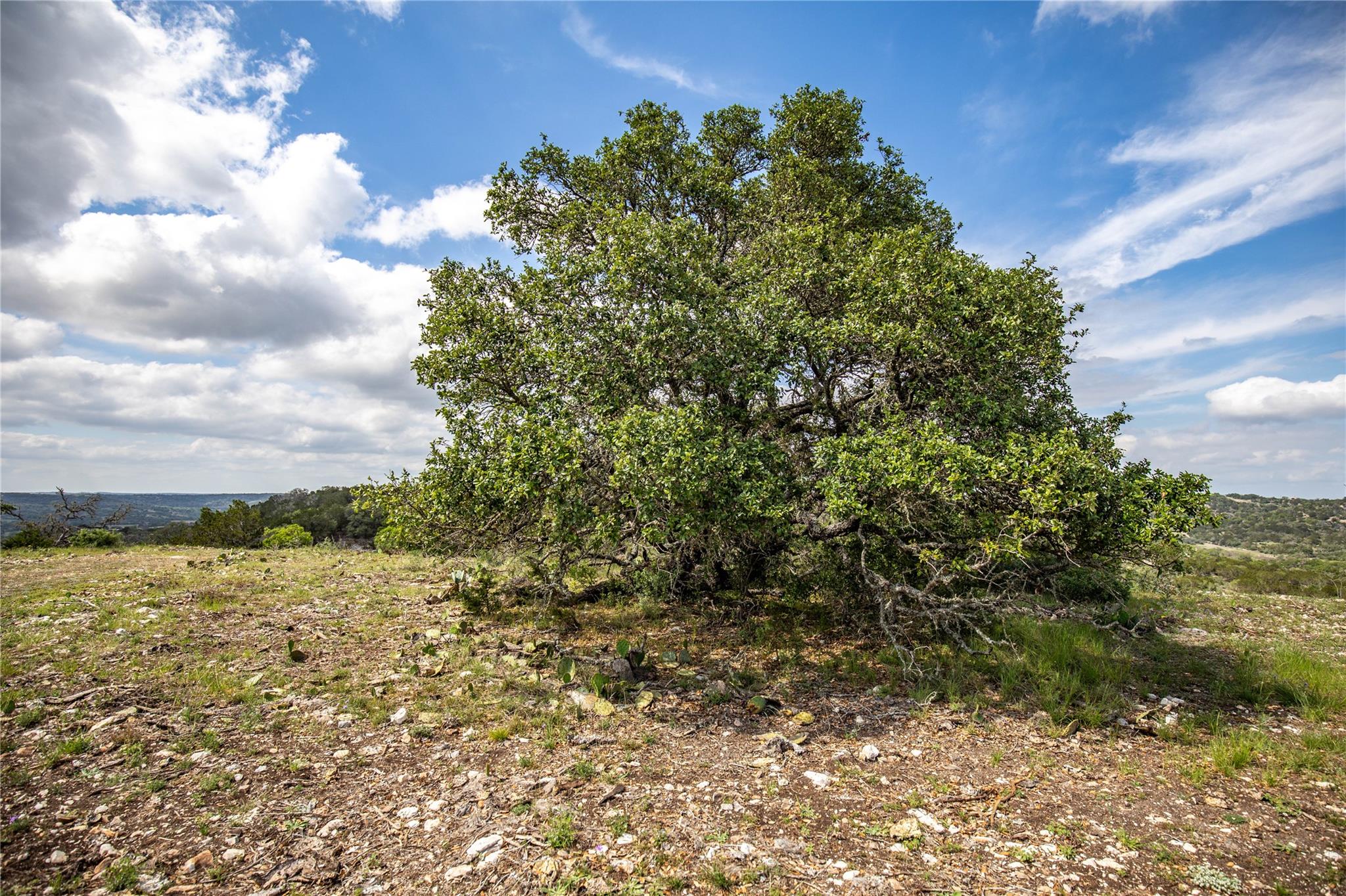 275 Hasenwinkel Rd Lot 3, Comfort, TX 78013