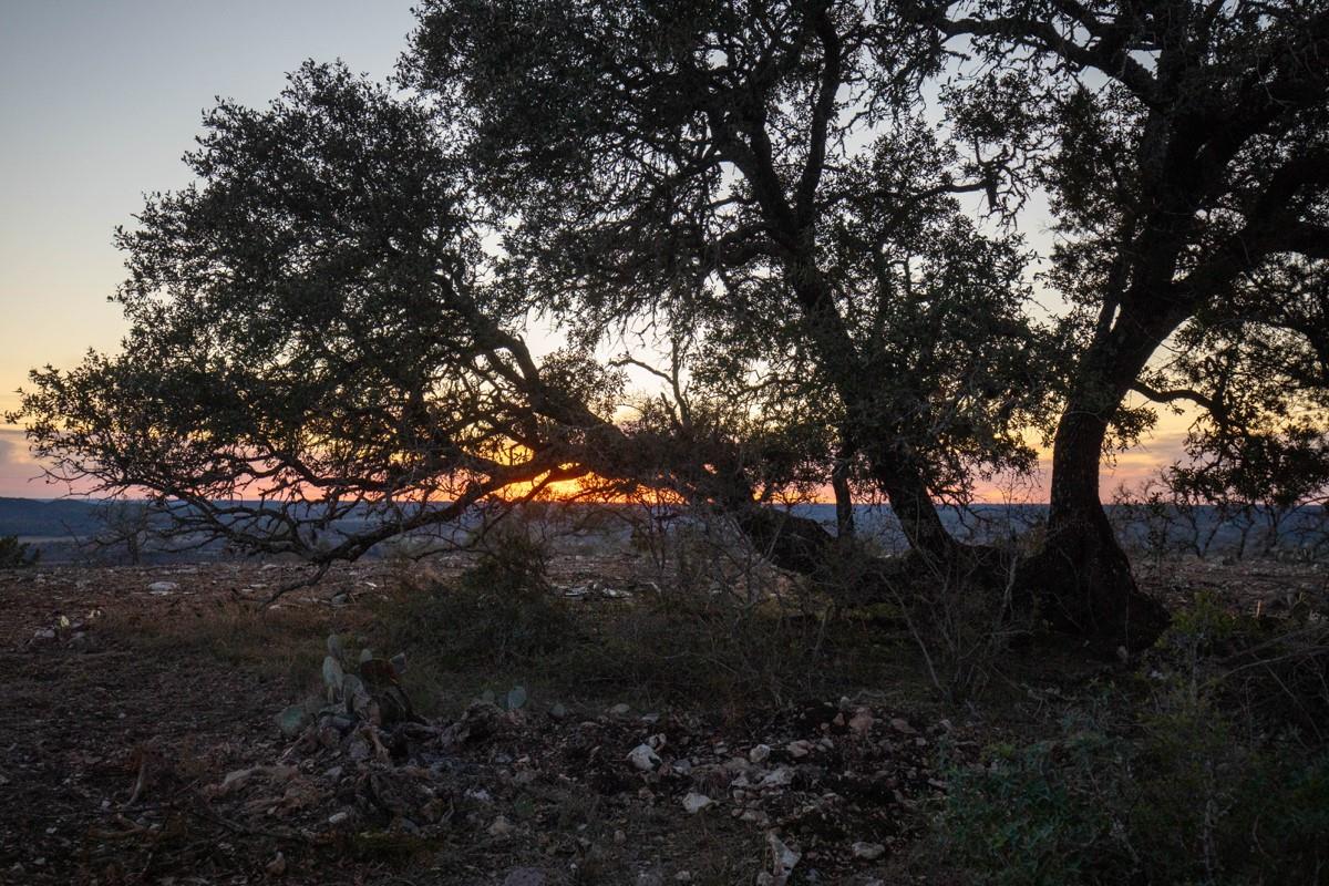 275 Hasenwinkel Rd Lot 3, Comfort, TX 78013