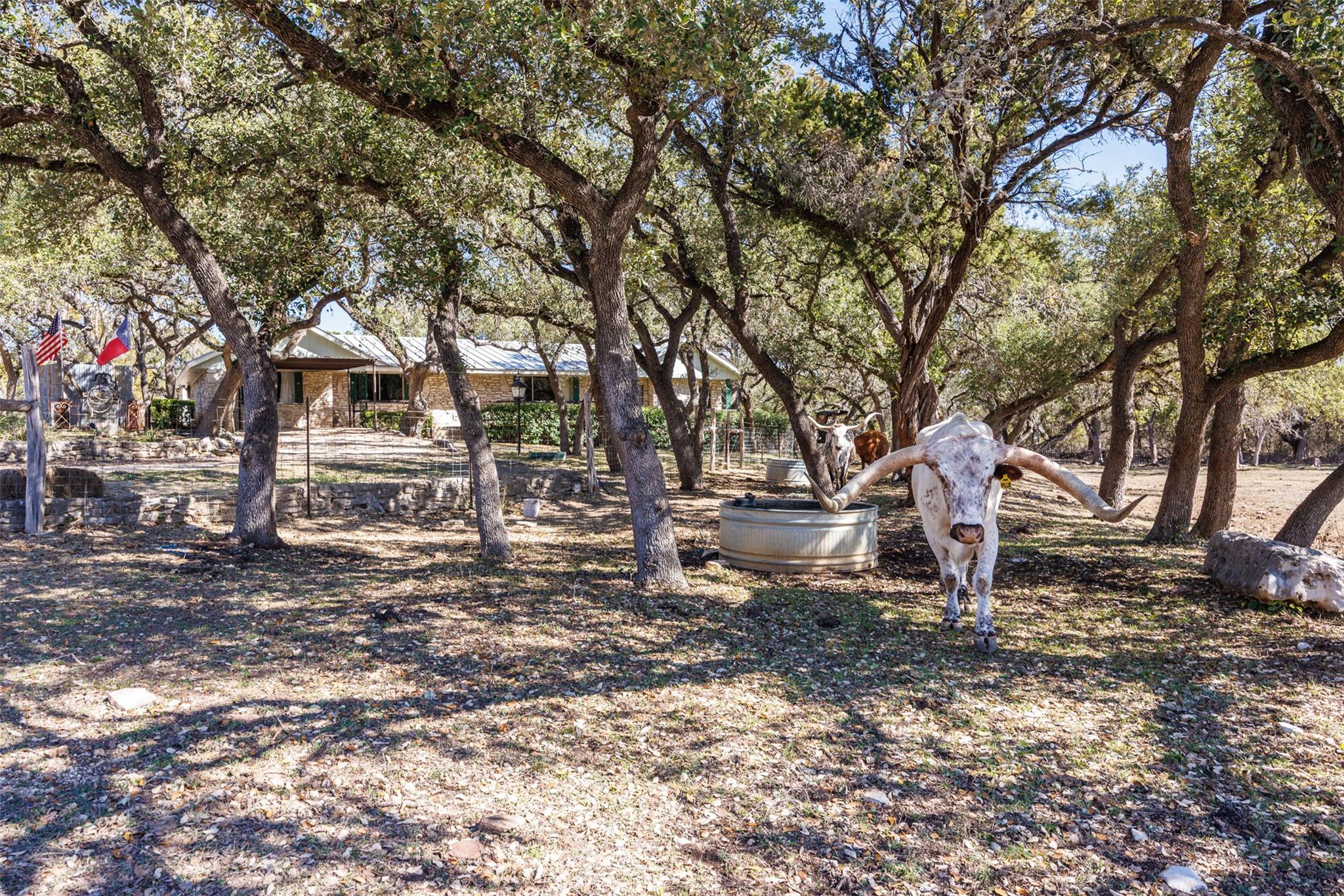 118 Buffalo Springs Rd, New Braunfels, TX 78132