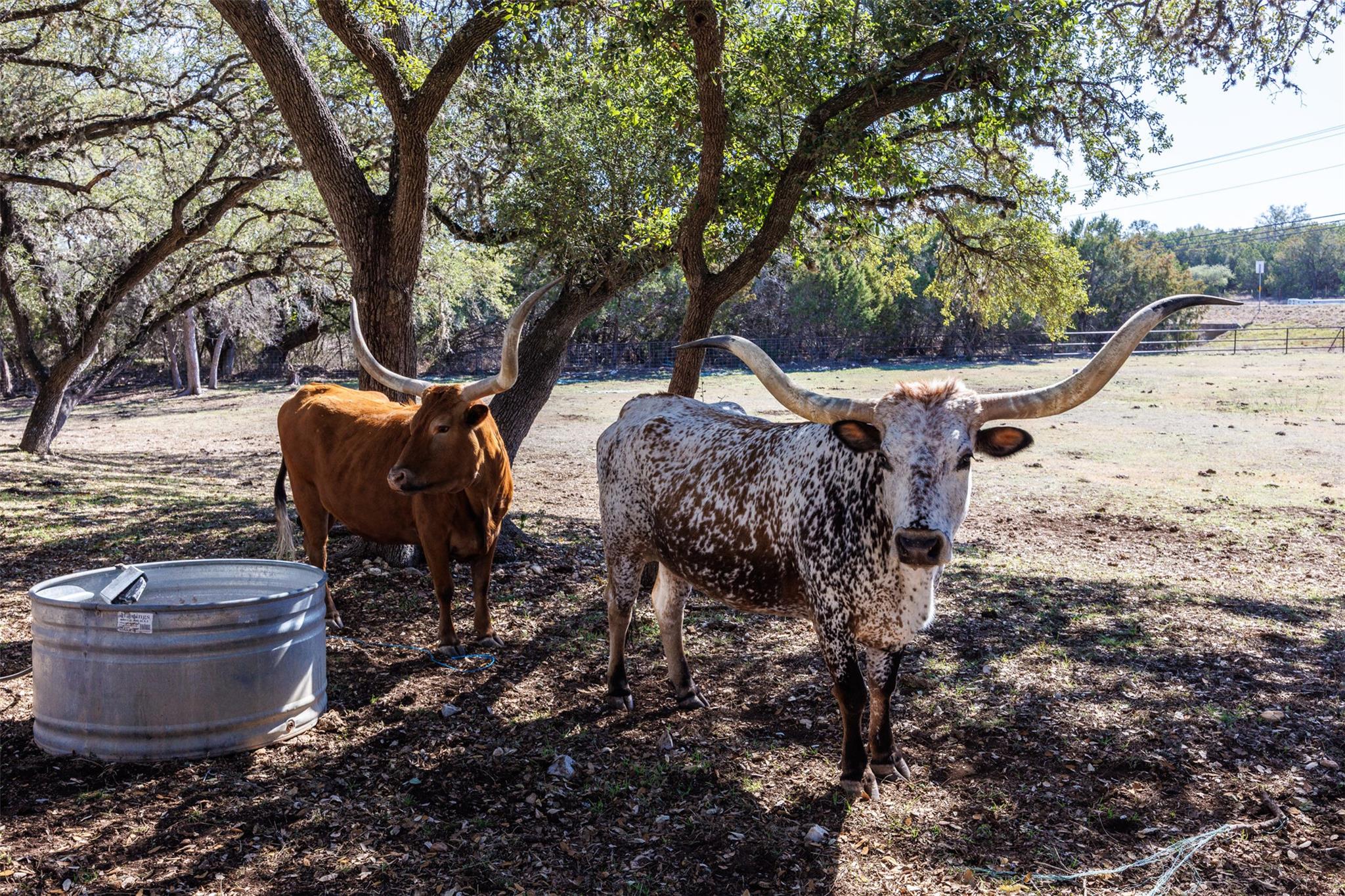 118 Buffalo Springs Rd, New Braunfels, TX 78132