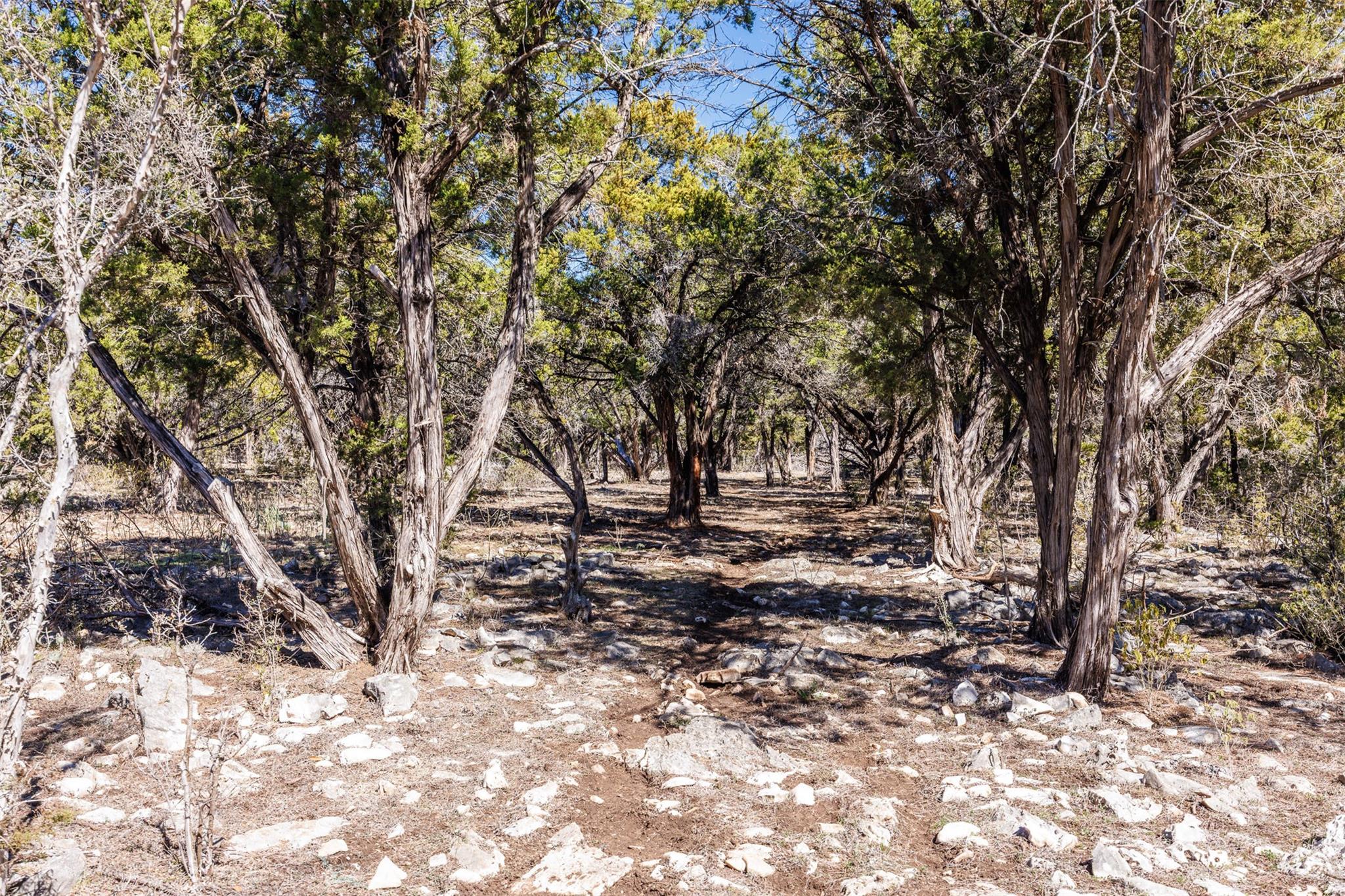 118 Buffalo Springs Rd, New Braunfels, TX 78132