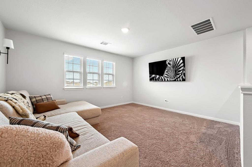 13309 Silver Blazer Dr, Buda, TX 78610