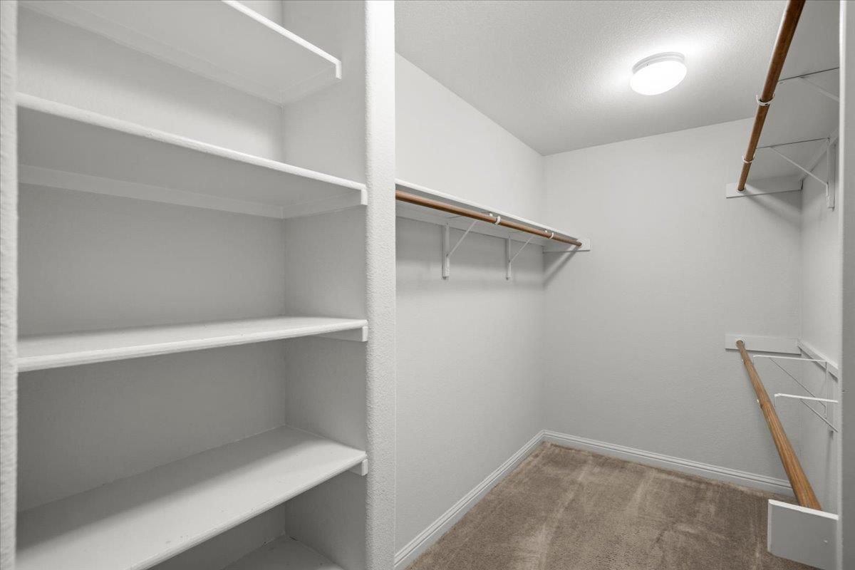 19501 Brue St, Pflugerville, TX 78660