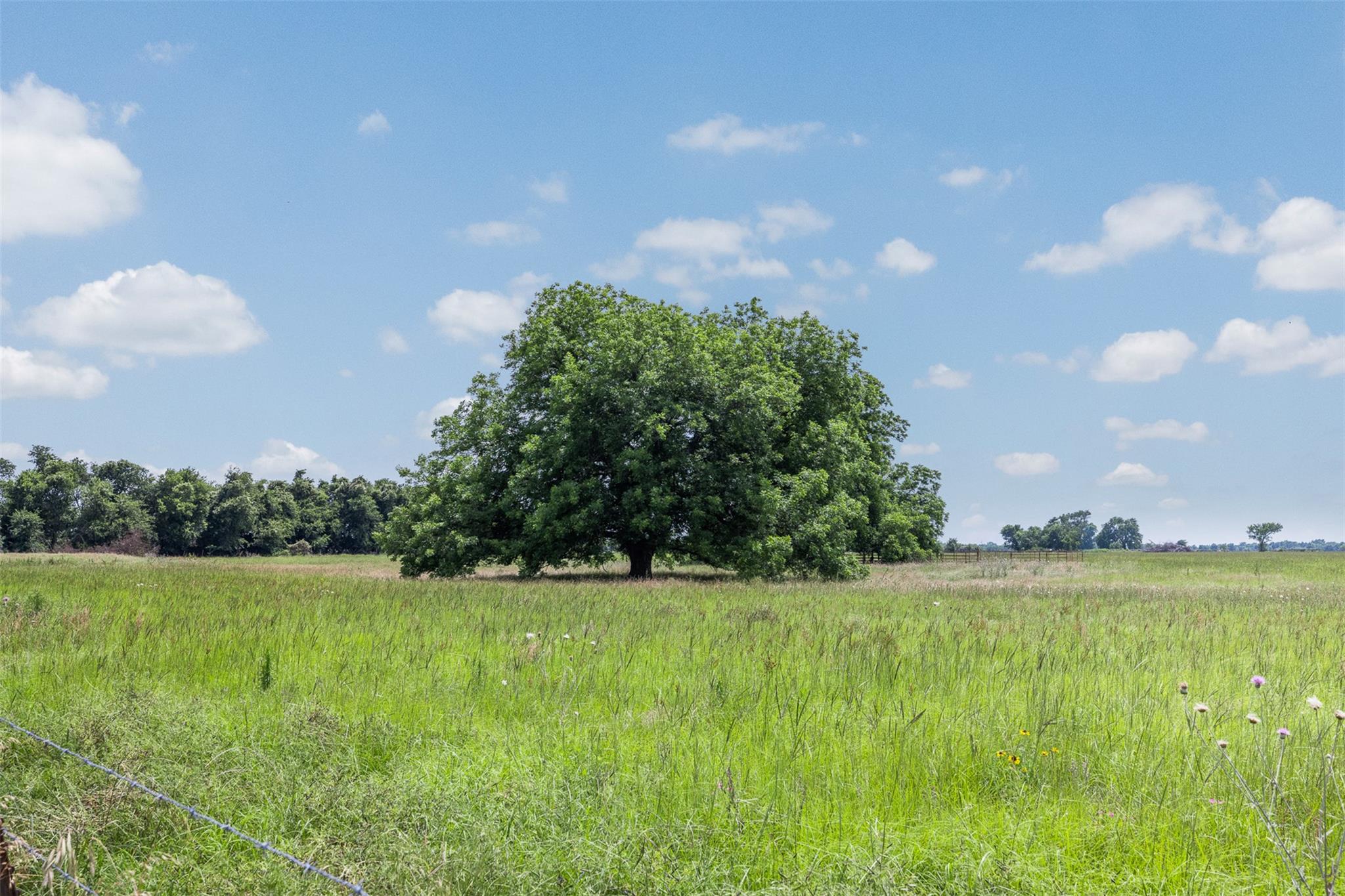 476 LCR 640, Groesbeck, TX 76642