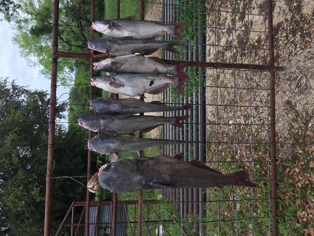 2102 Private Road 1377, Lampasas, TX 76550