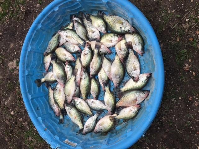 2102 Private Road 1377, Lampasas, TX 76550