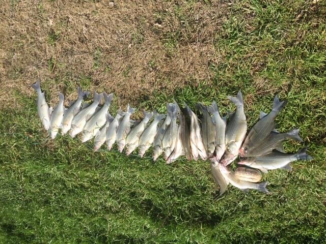 2102 Private Road 1377, Lampasas, TX 76550