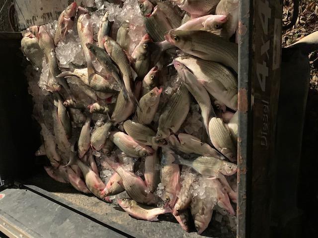 2102 Private Road 1377, Lampasas, TX 76550