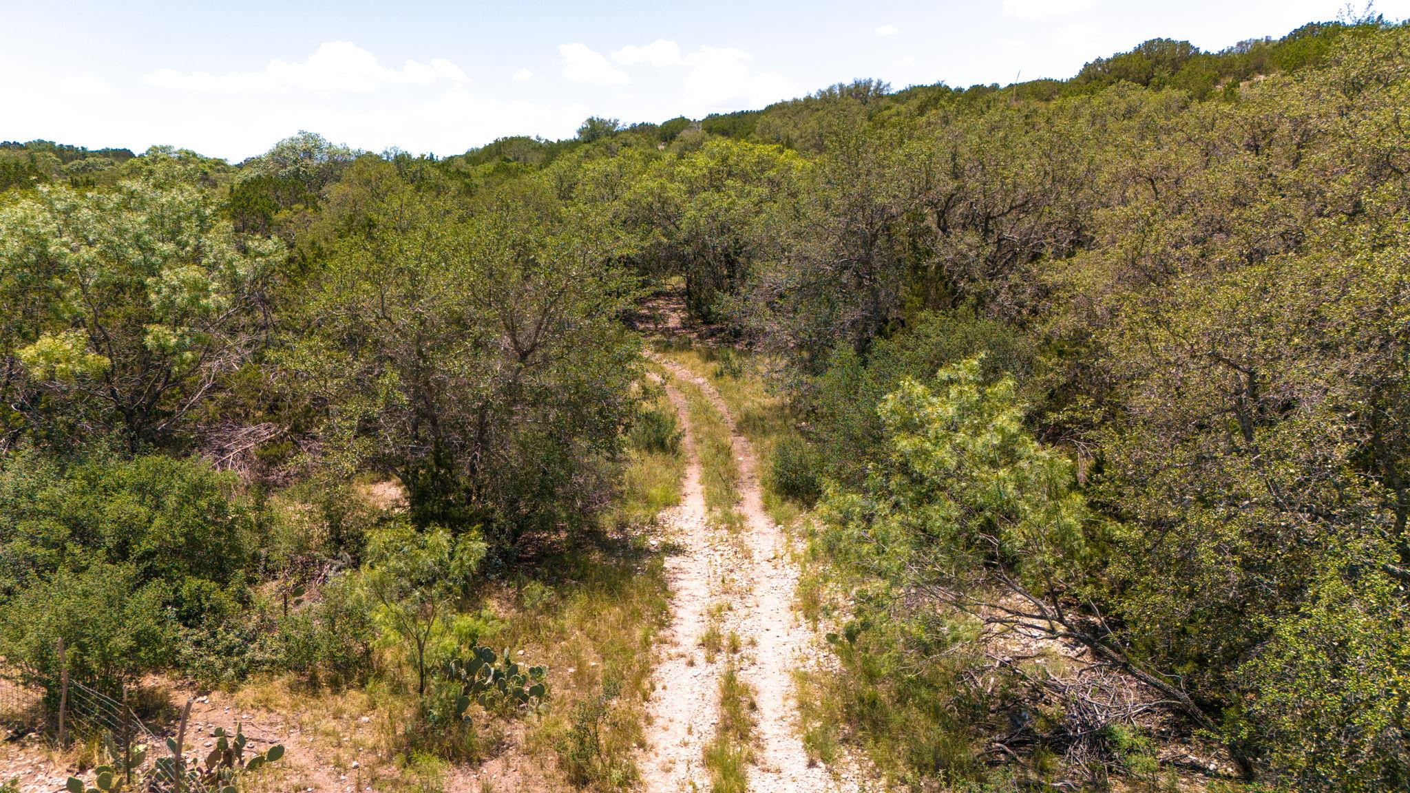 1534 Pasture Springs Rd, Harper, TX 78631