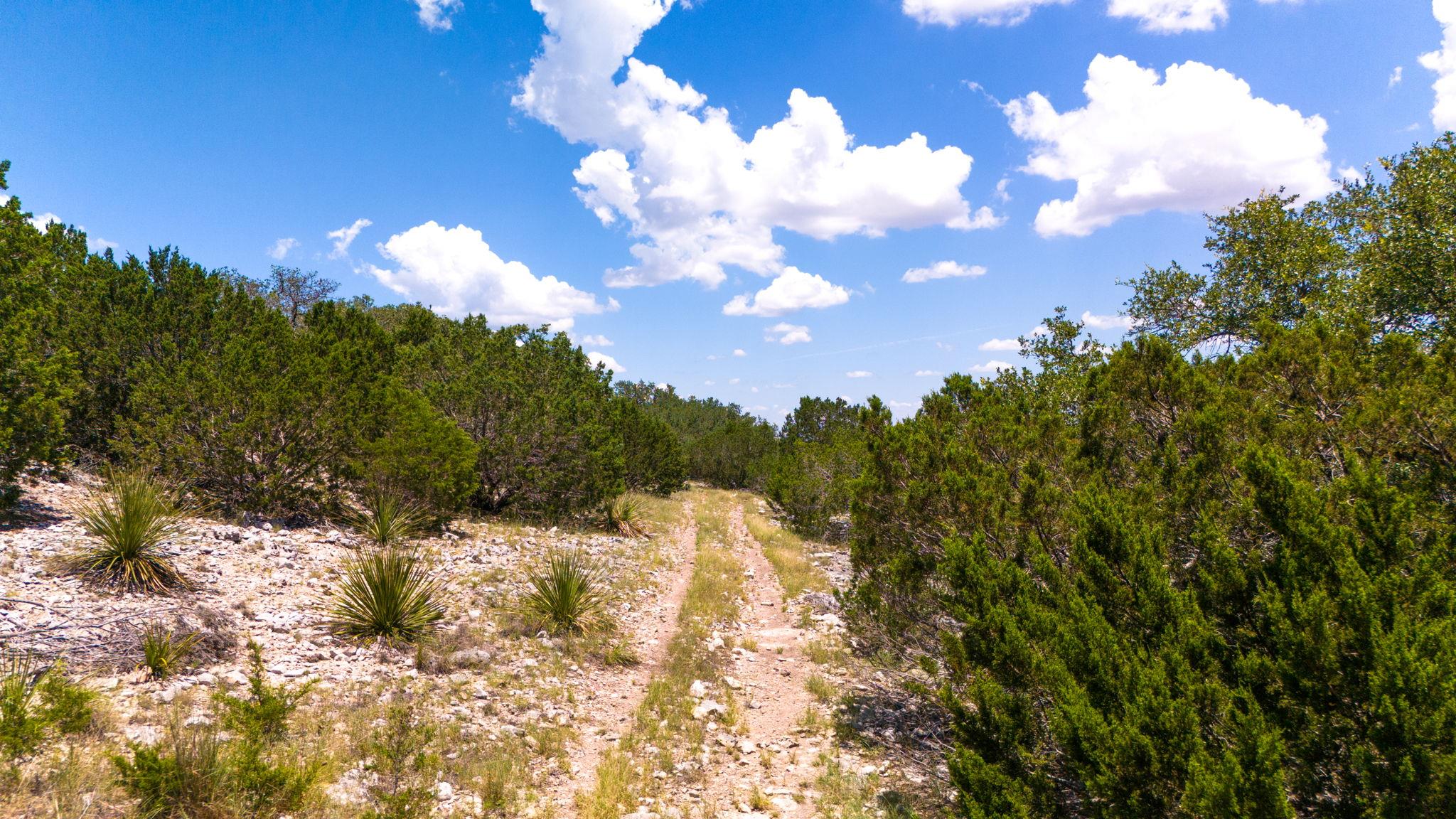 1534 Pasture Springs Rd, Harper, TX 78631