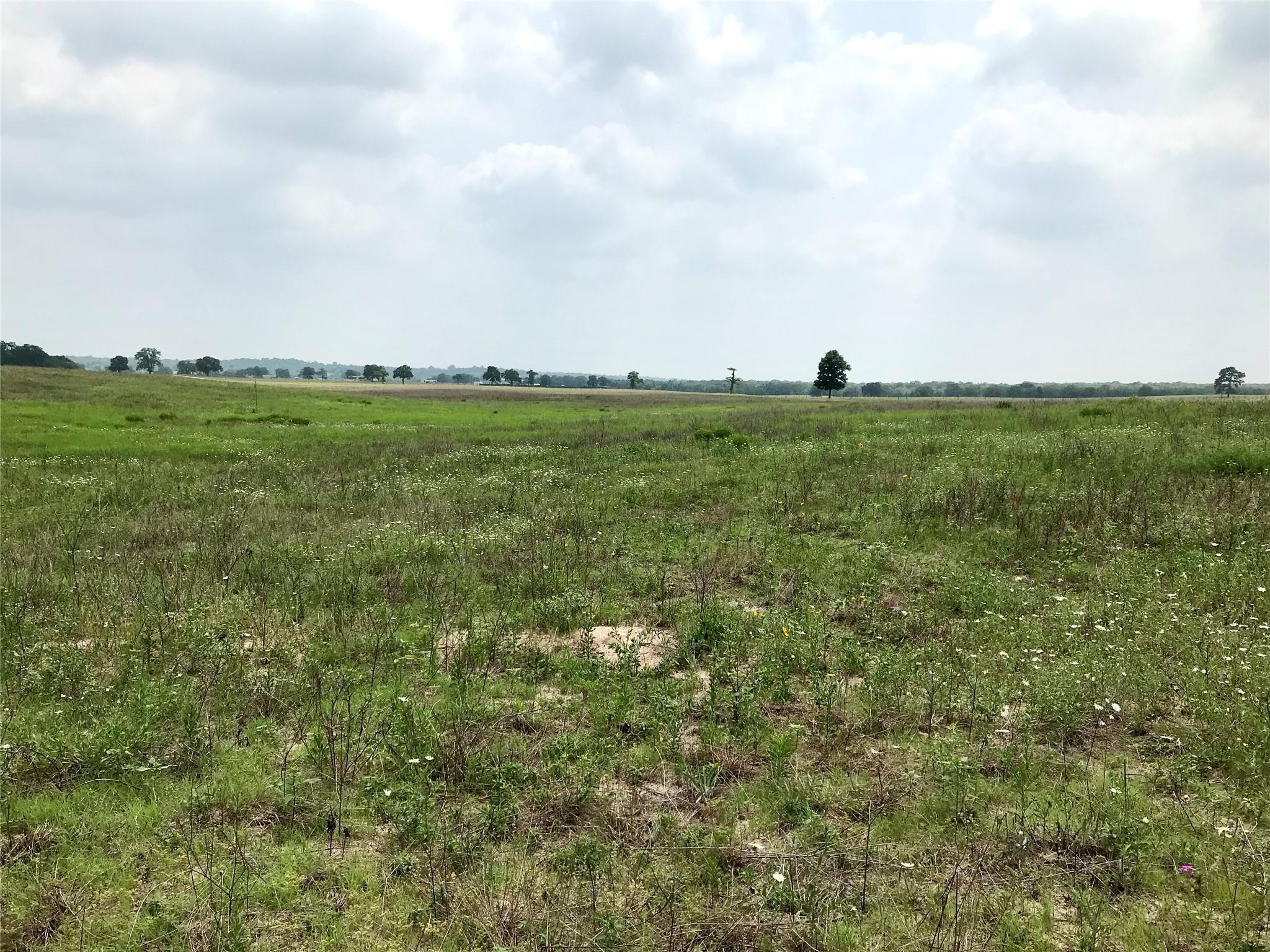 1672 Sayers Tract 3 Rd, Bastrop, TX 78602