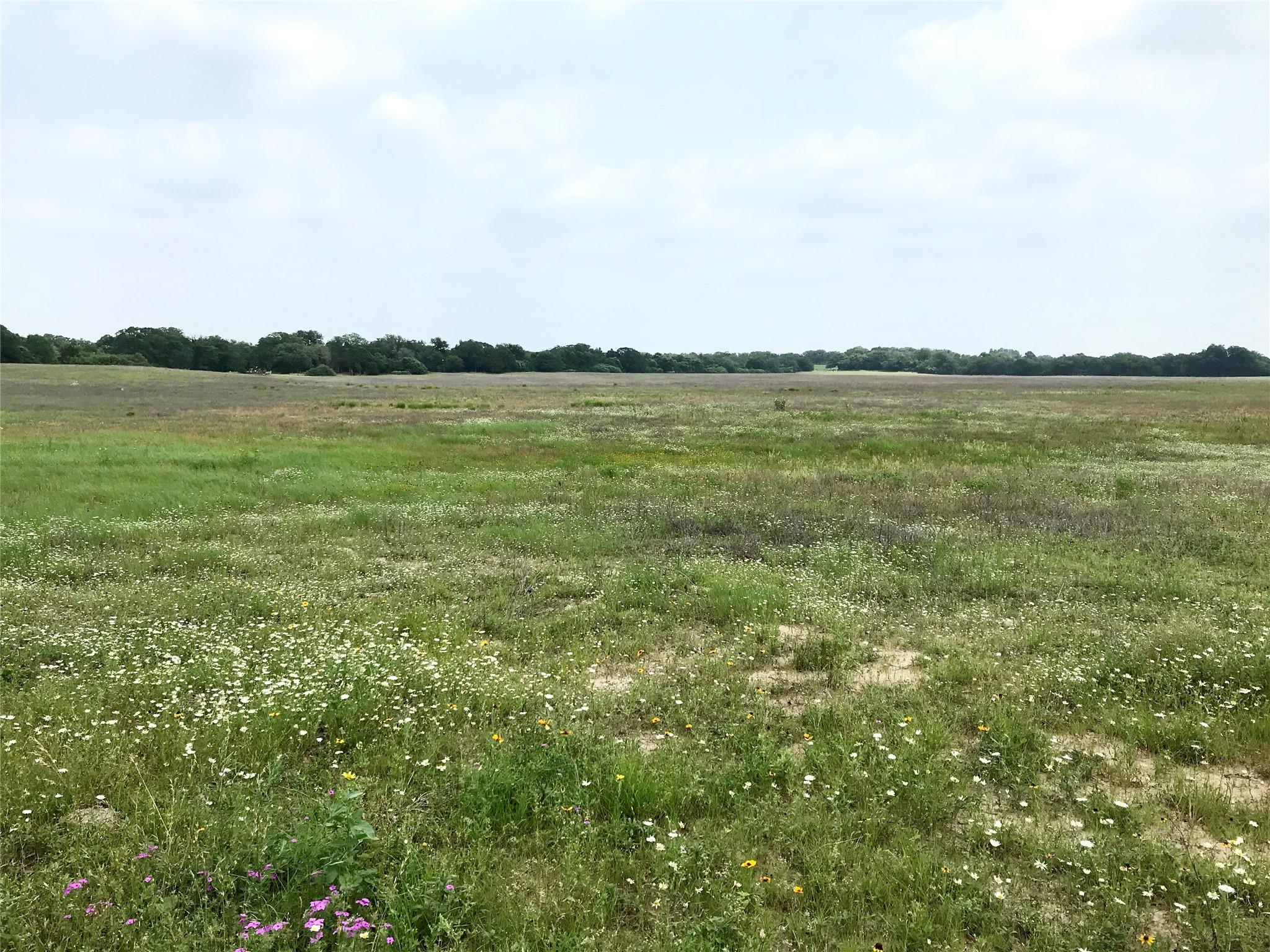 1672 Sayers Tract 3 Rd, Bastrop, TX 78602