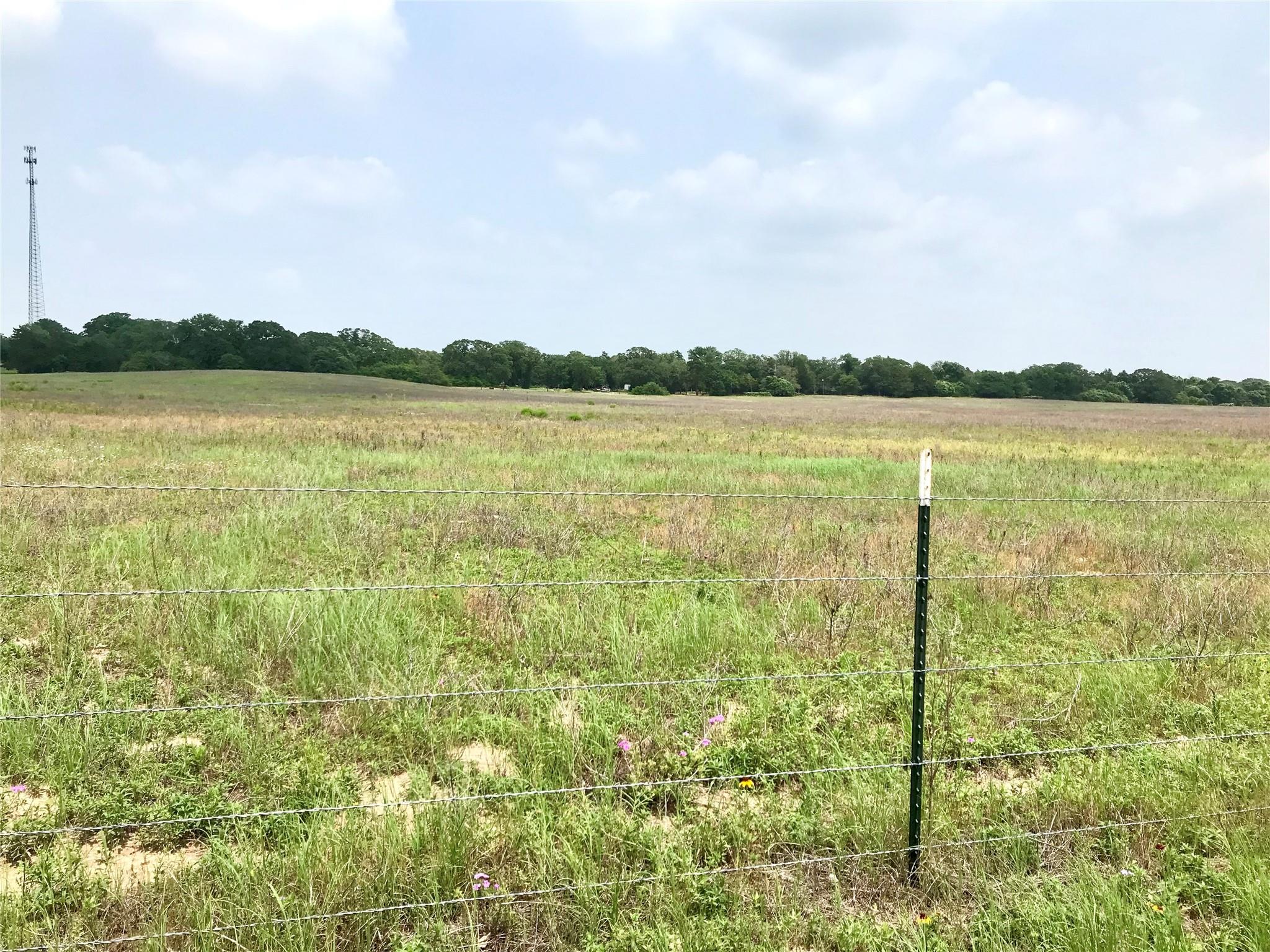 1672 Sayers Tract 3 Rd, Bastrop, TX 78602