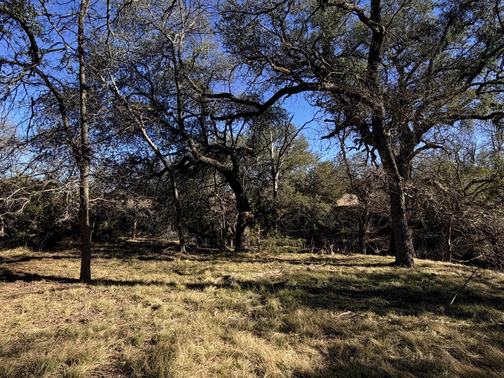 Goldthwaite, TX 76844