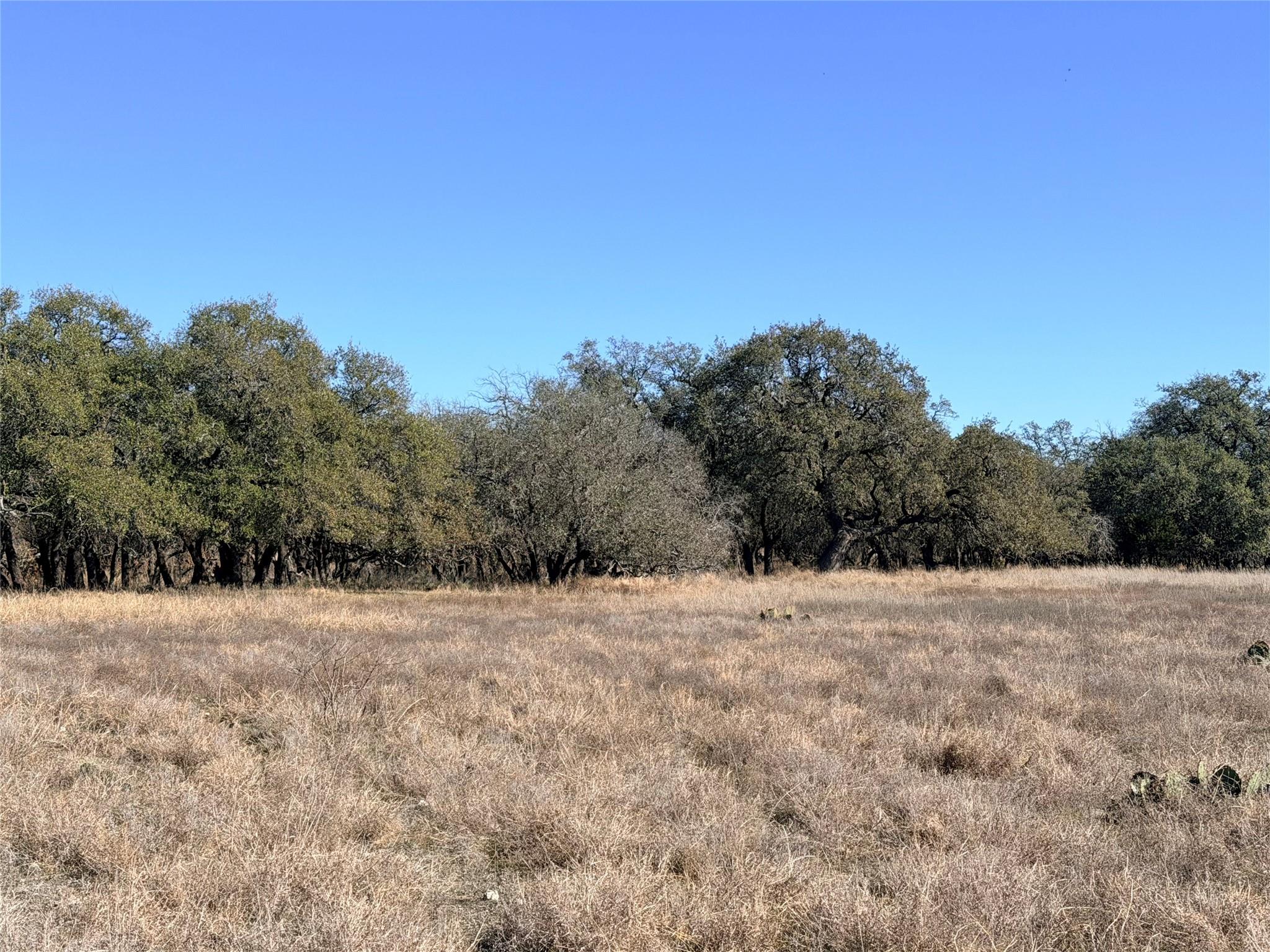 Goldthwaite, TX 76844