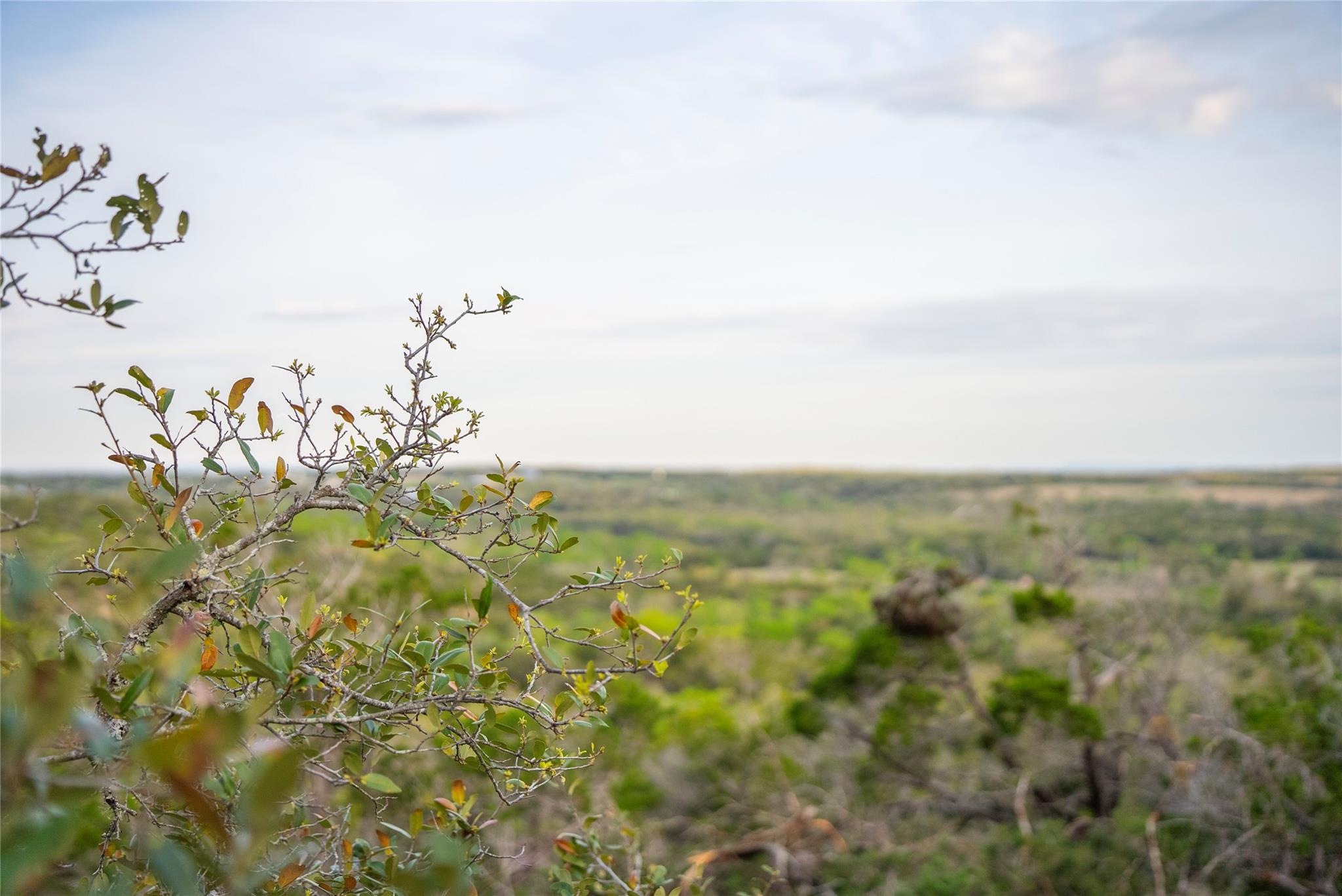 TBD Bell Springs Rd, Dripping Springs, TX 78620