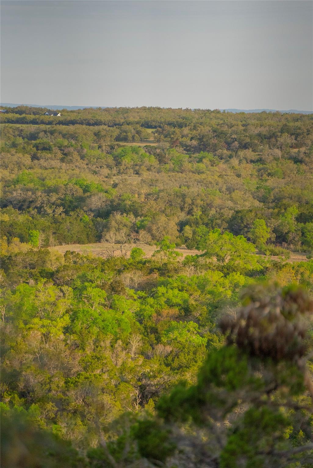 TBD Bell Springs Rd, Dripping Springs, TX 78620