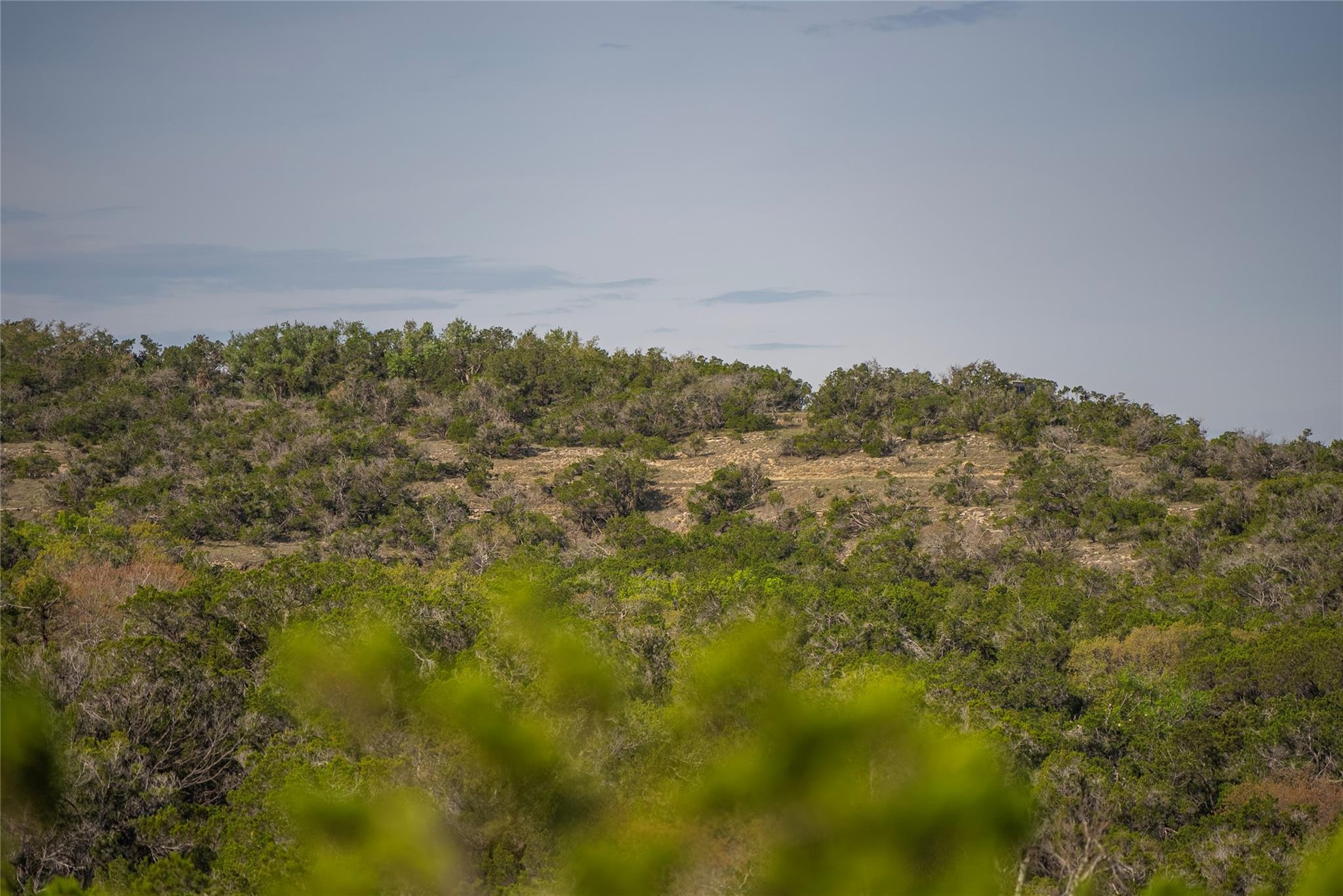 TBD Bell Springs Rd, Dripping Springs, TX 78620