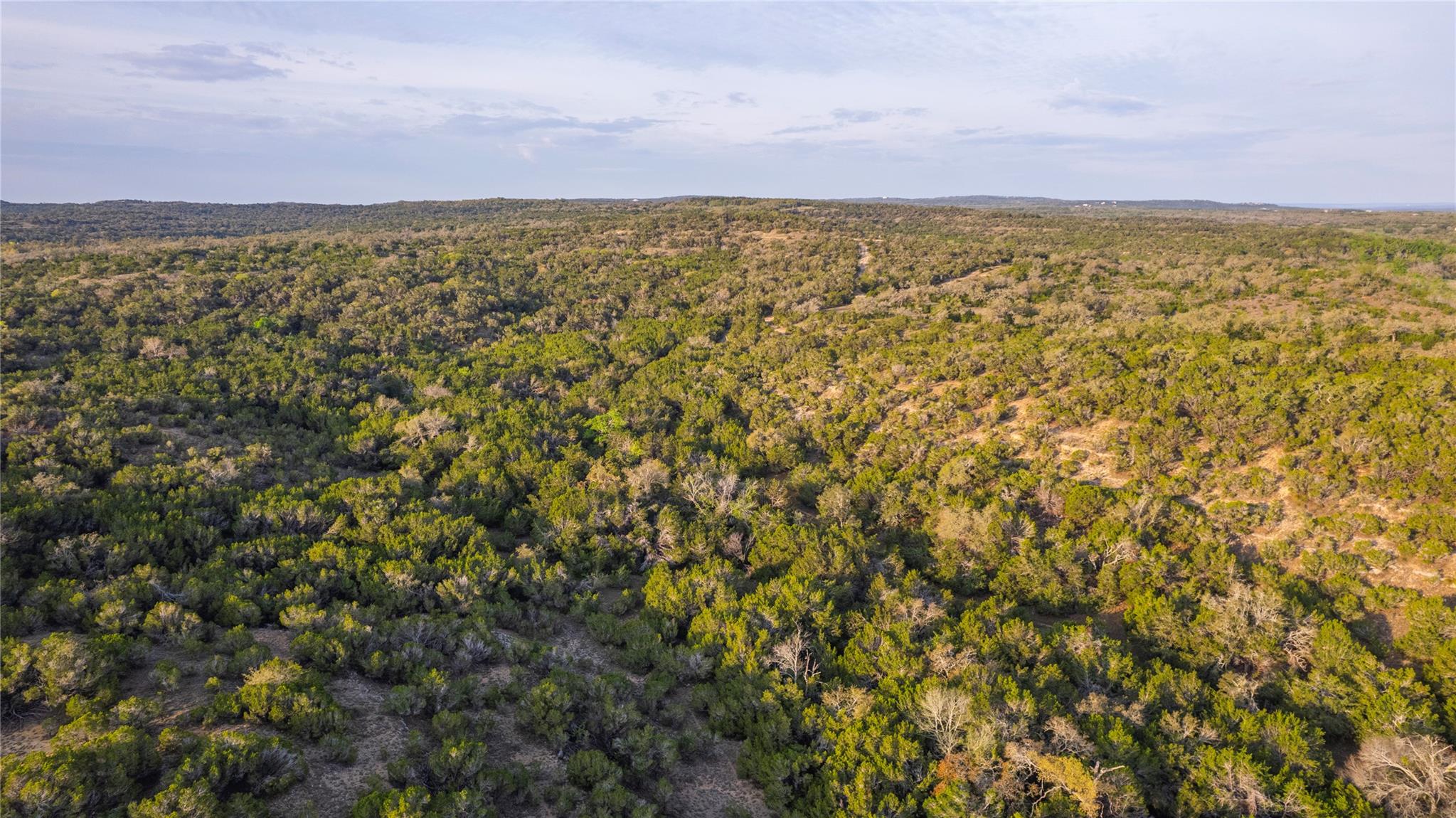 TBD Bell Springs Rd, Dripping Springs, TX 78620