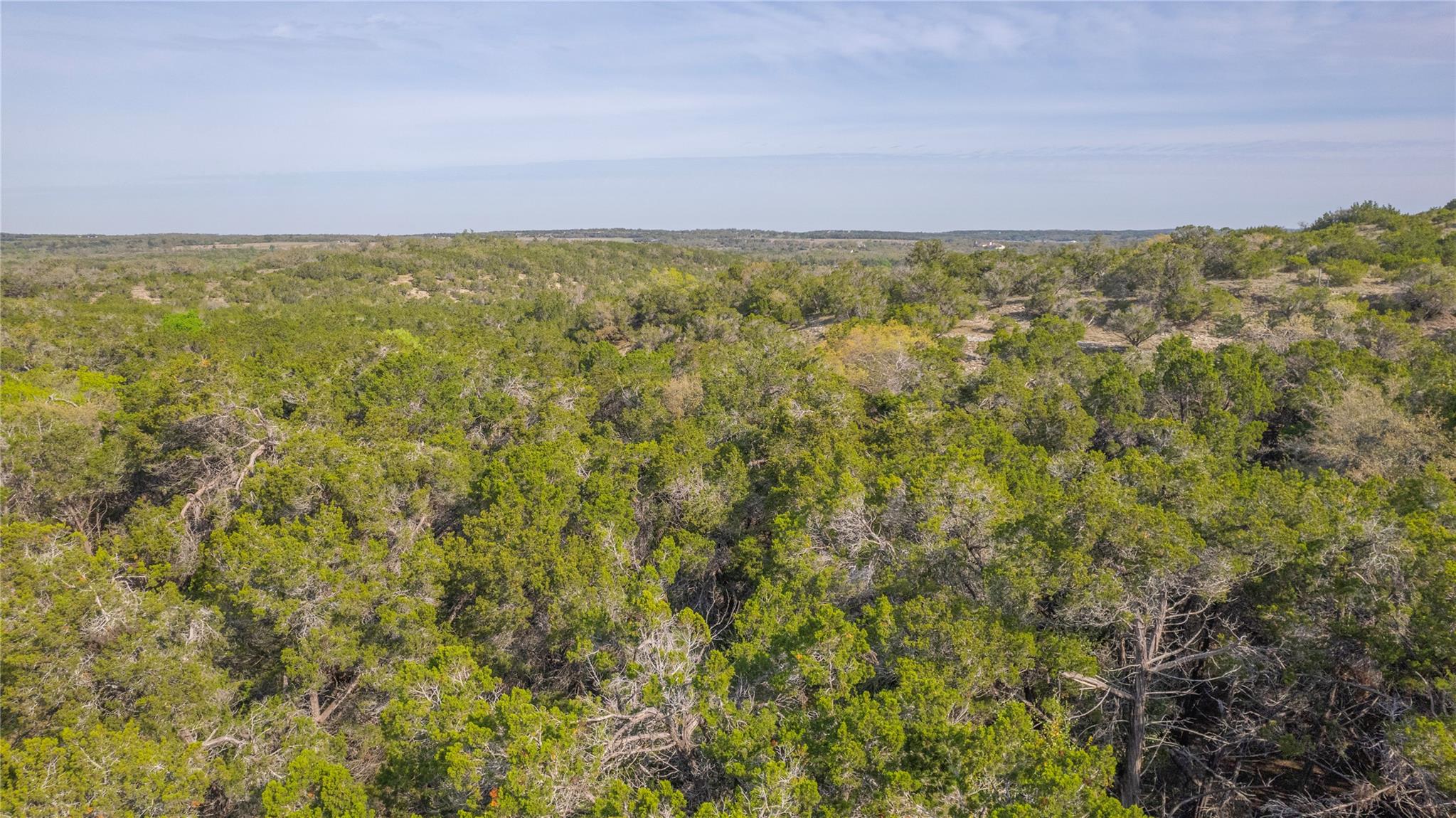 TBD Bell Springs Rd, Dripping Springs, TX 78620