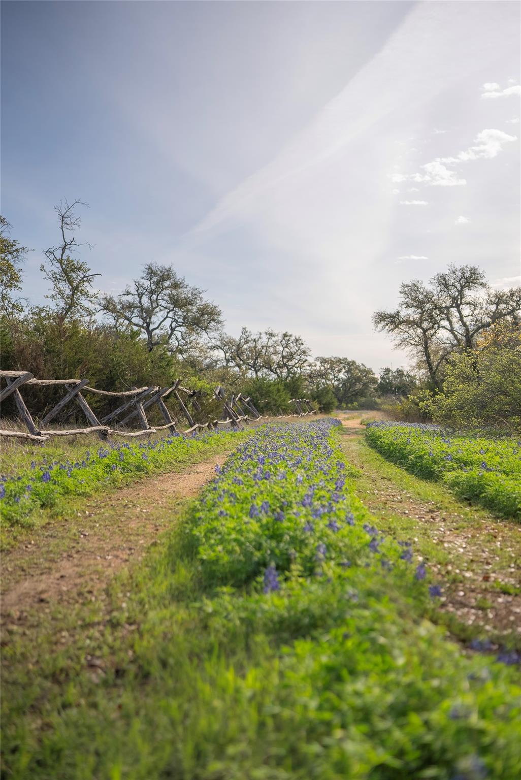 TBD Bell Springs Rd, Dripping Springs, TX 78620