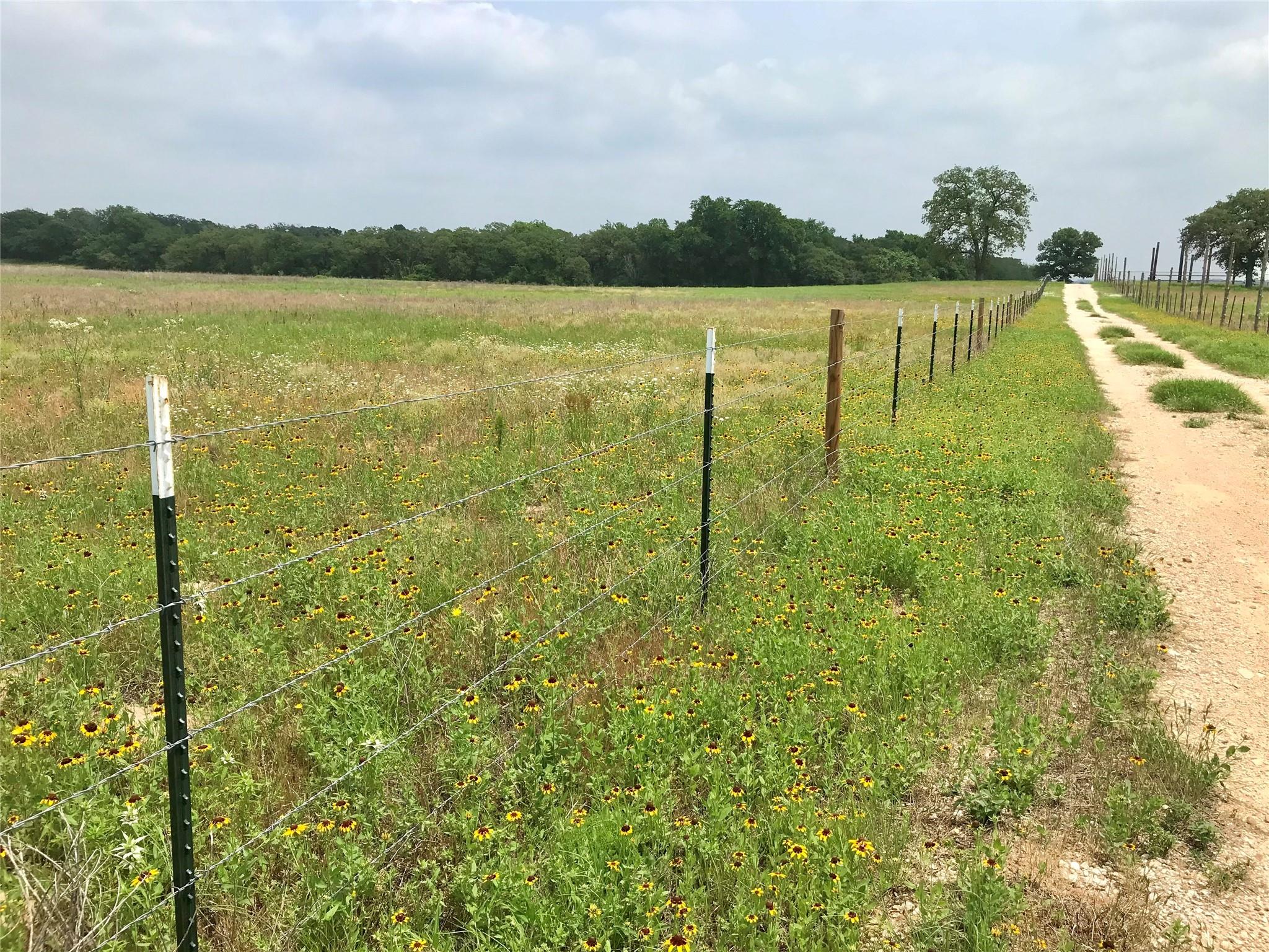 1672 Sayers Tract 4 Rd, Bastrop, TX 78602