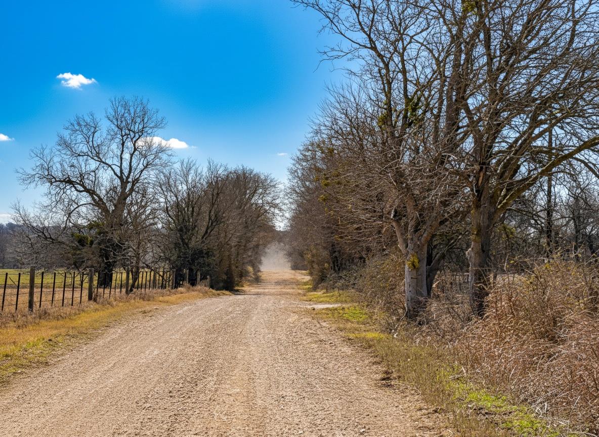 4622 County Road 429, Rockdale, TX 76567