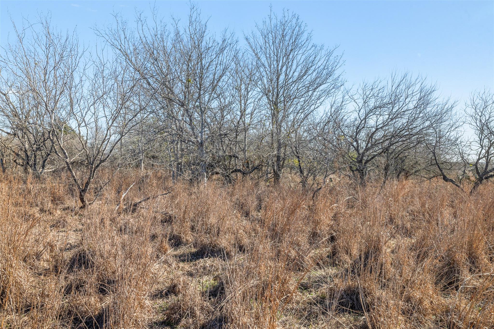 0000 E US Hwy 90 Highway, Kingsbury, TX 78638