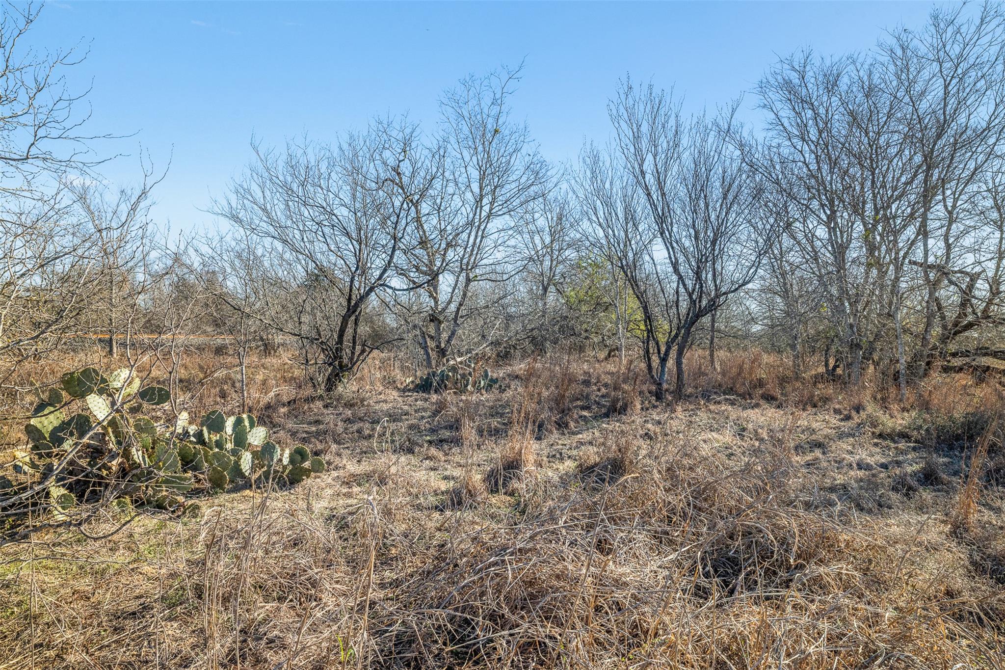 0000 E US Hwy 90 Highway, Kingsbury, TX 78638