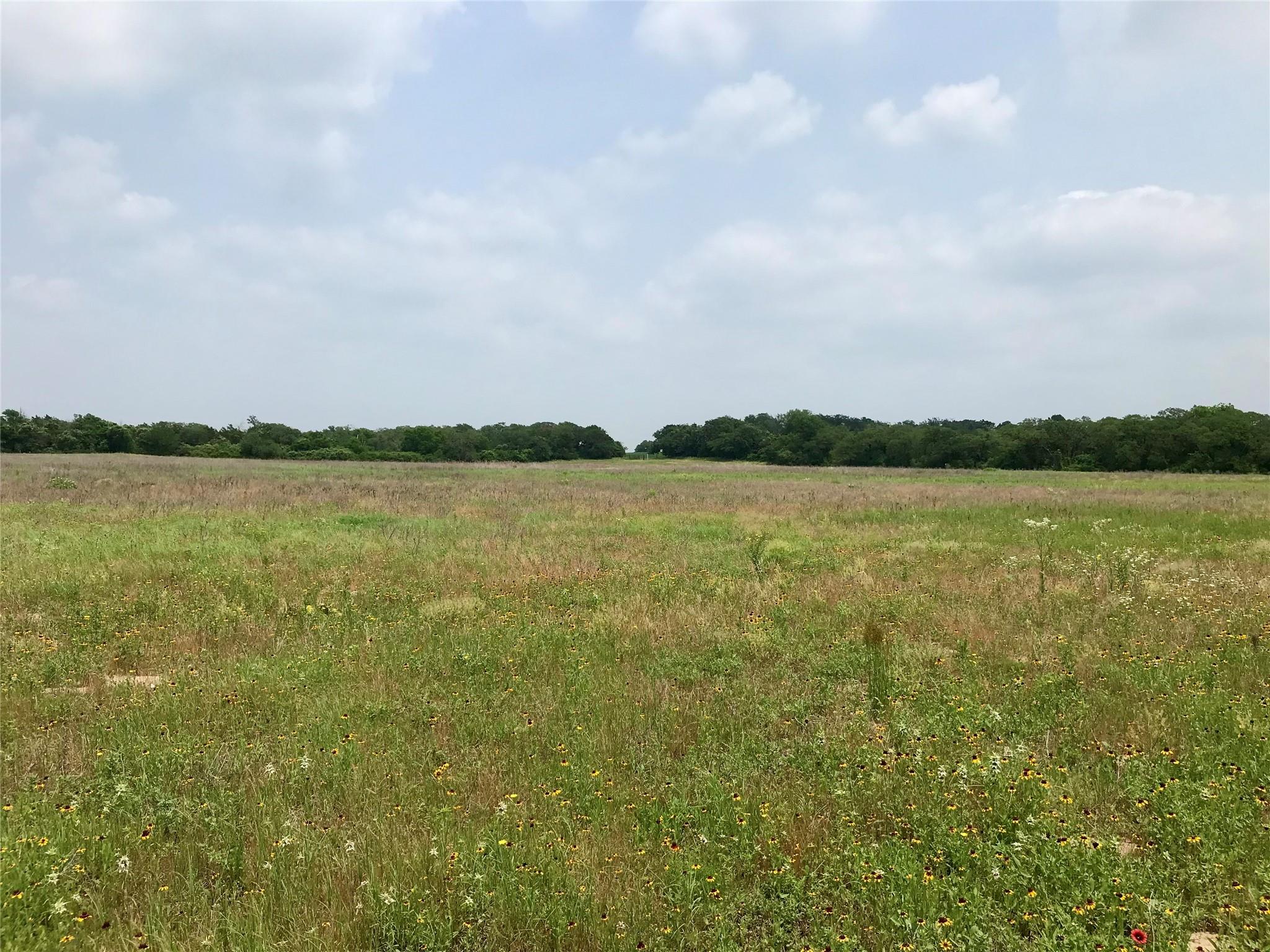 1672 Sayers Tract 4 Rd, Bastrop, TX 78602