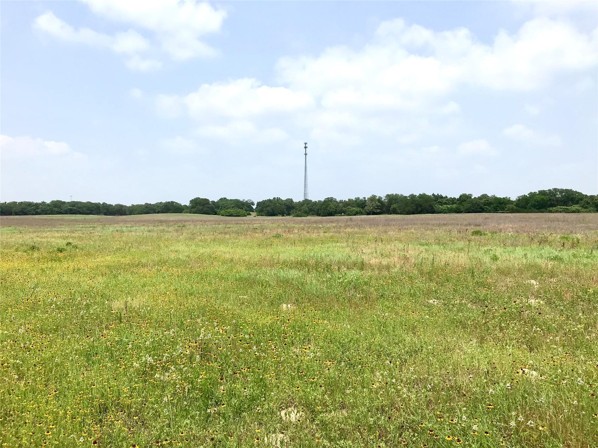 1672 Sayers Tract 4 Rd, Bastrop, TX 78602