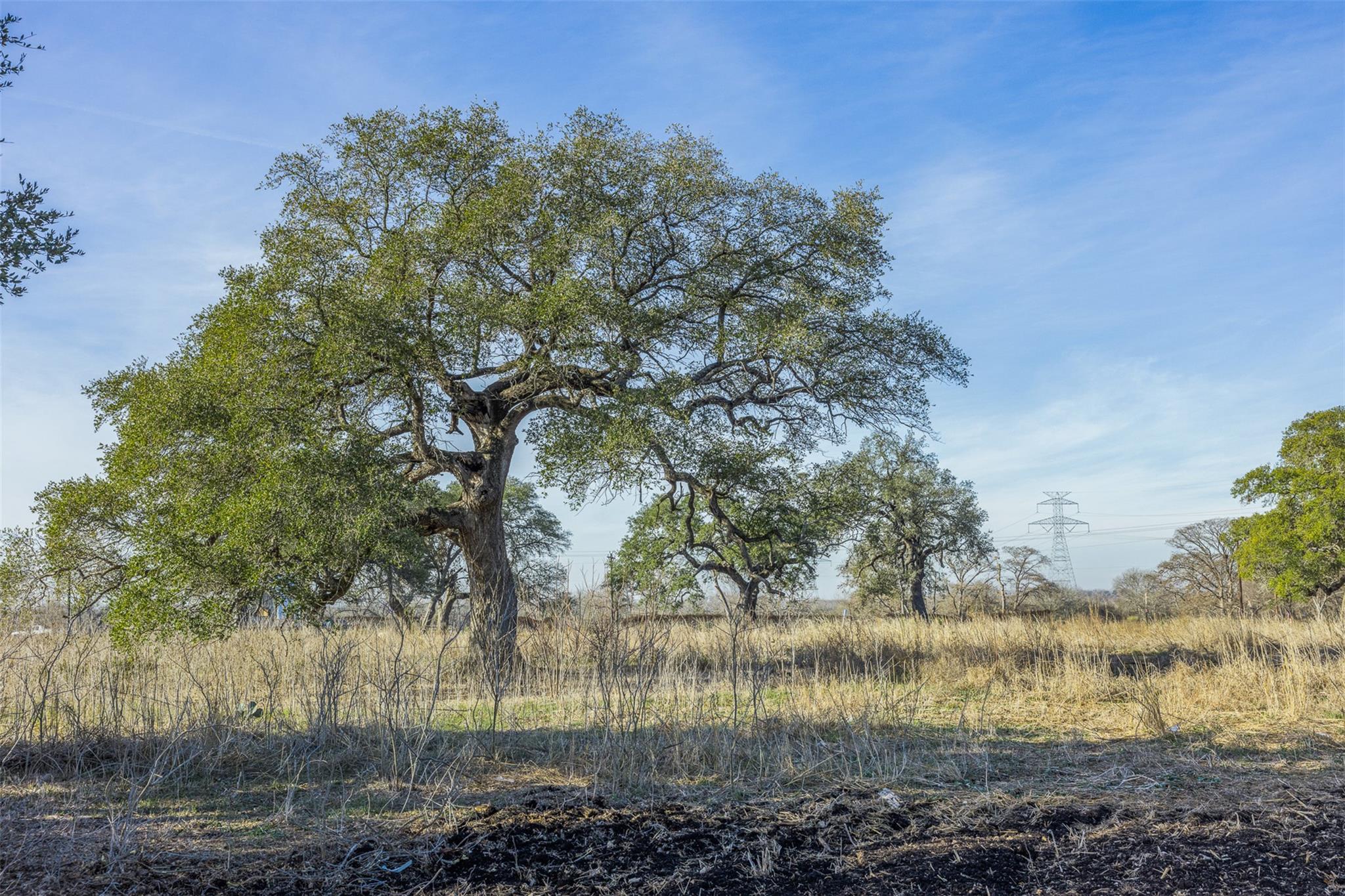 600 NW River Rd, Martindale, TX 78655