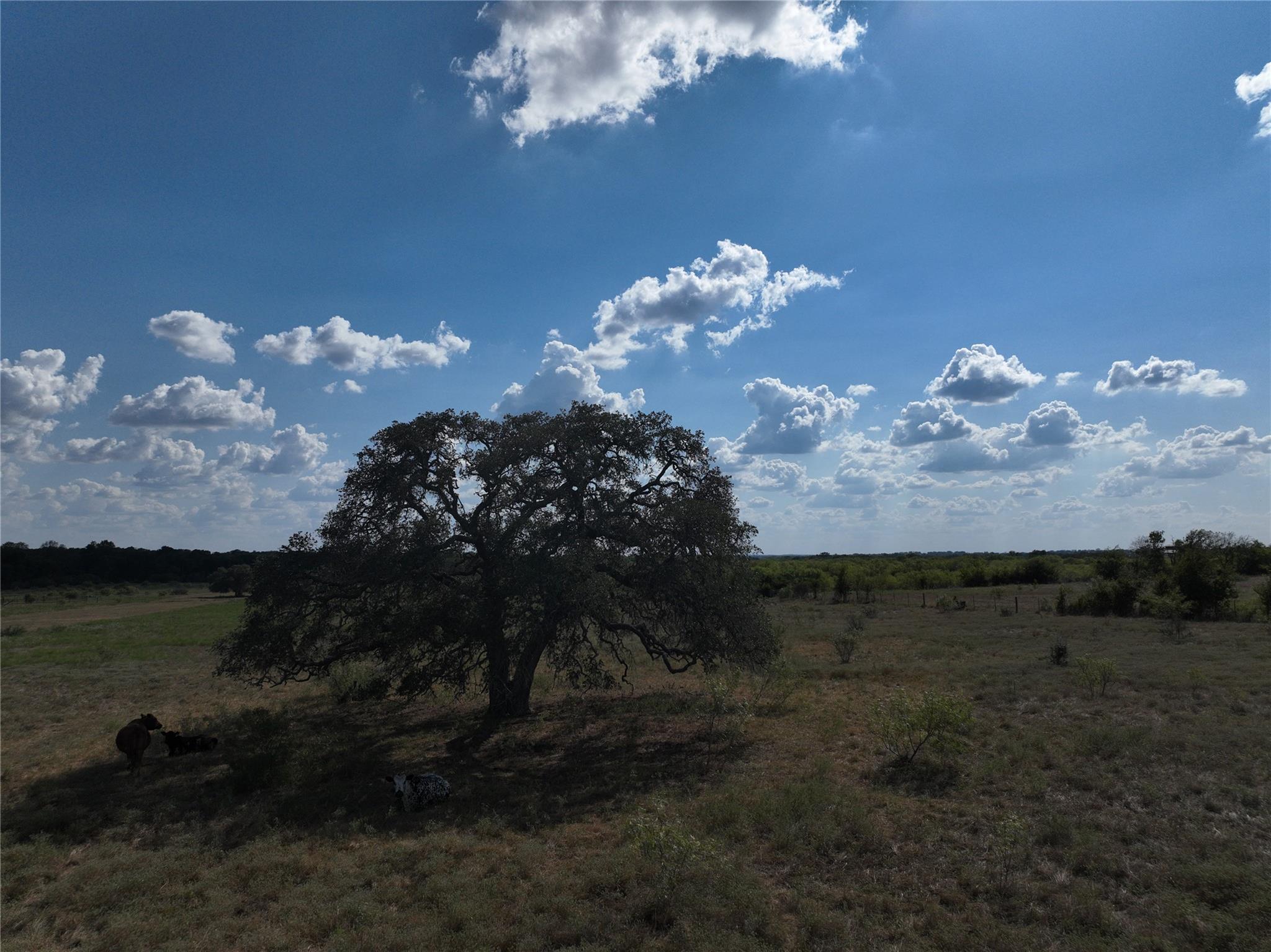 TBD Lot 7 Tenney Creek Rd Rd, Dale, TX 78616