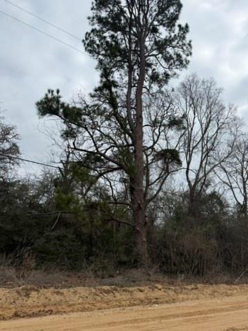 Lot 4 Yaupon Dr, Caldwell, TX 77836