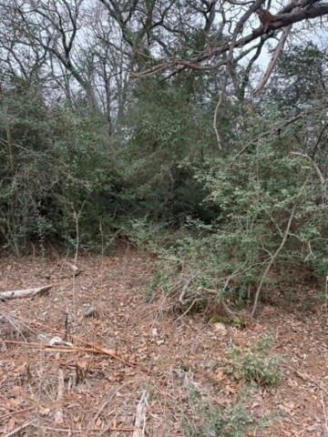 Lot 4 Yaupon Dr, Caldwell, TX 77836