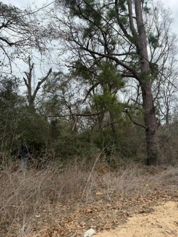 Lot 4 Yaupon Dr, Caldwell, TX 77836