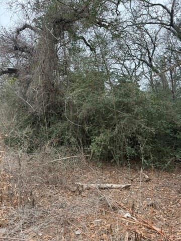 Lot 4 Yaupon Dr, Caldwell, TX 77836